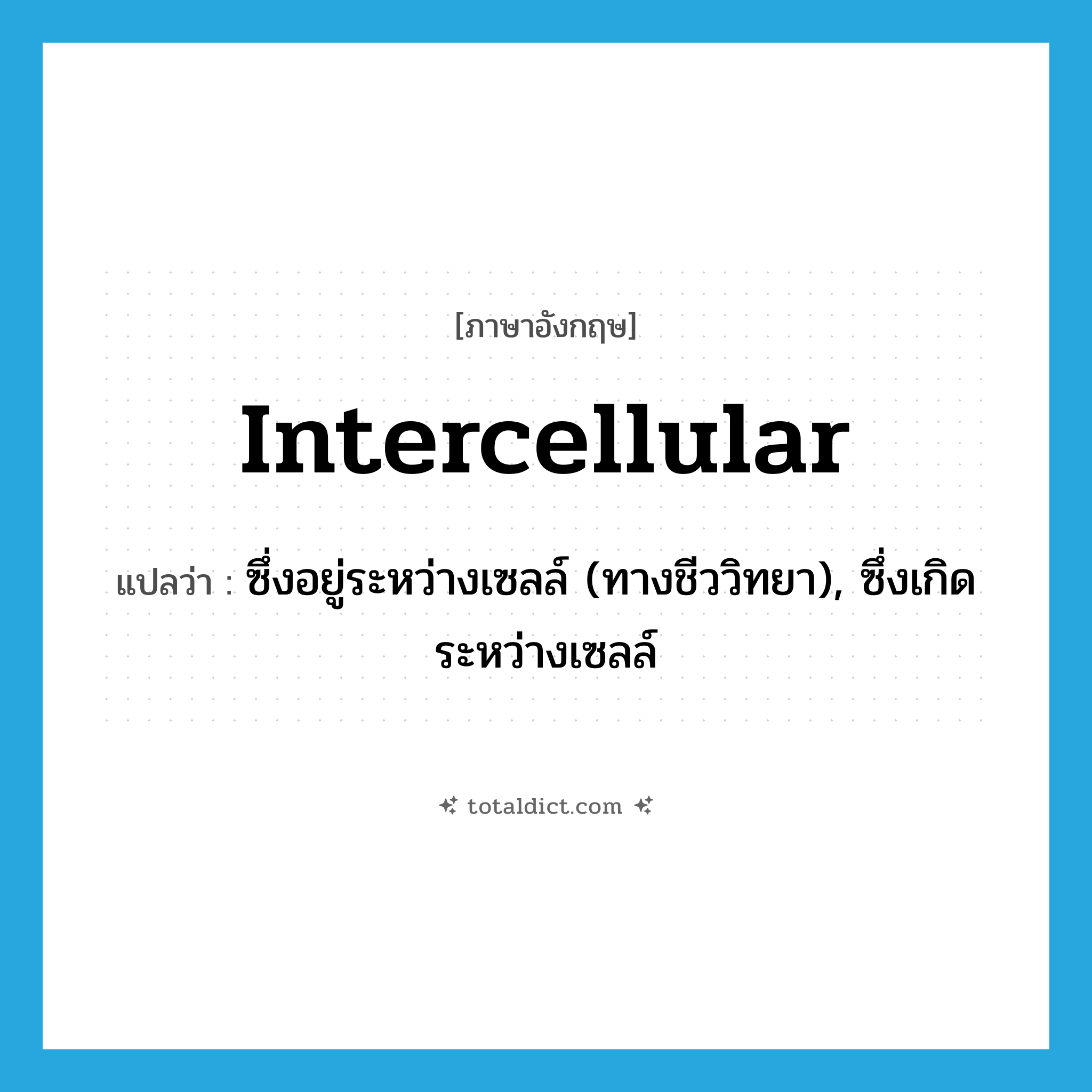 intercellular แปลว่า?, คำศัพท์ภาษาอังกฤษ intercellular แปลว่า ซึ่งอยู่ระหว่างเซลล์ (ทางชีววิทยา), ซึ่งเกิดระหว่างเซลล์ ประเภท ADJ หมวด ADJ