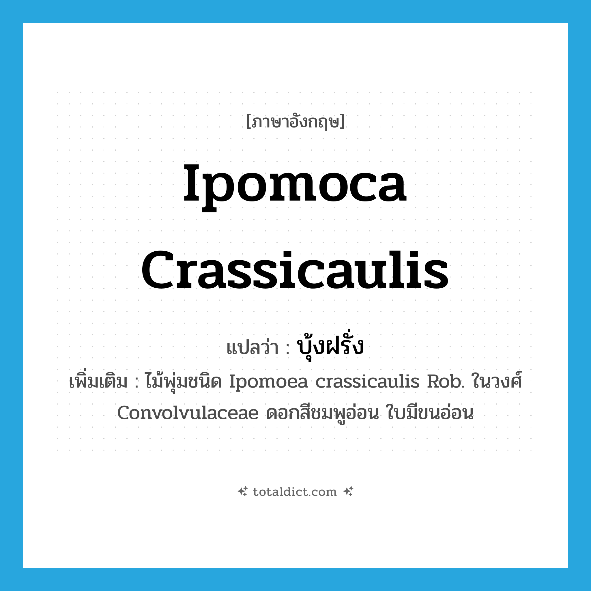 Ipomoca crassicaulis แปลว่า?, คำศัพท์ภาษาอังกฤษ Ipomoca crassicaulis แปลว่า บุ้งฝรั่ง ประเภท N เพิ่มเติม ไม้พุ่มชนิด Ipomoea crassicaulis Rob. ในวงศ์ Convolvulaceae ดอกสีชมพูอ่อน ใบมีขนอ่อน หมวด N
