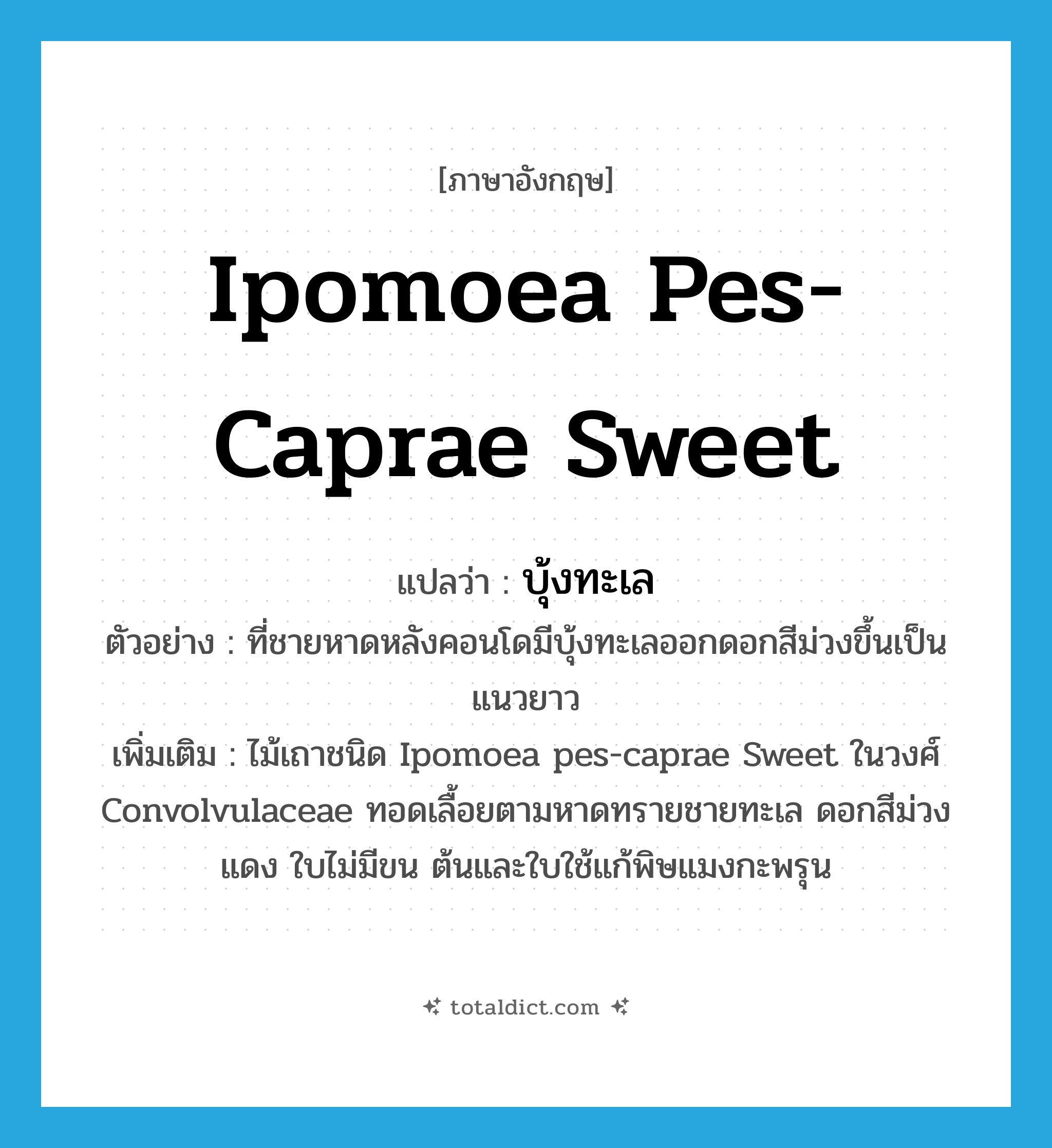 Ipomoea pes-caprae Sweet แปลว่า?, คำศัพท์ภาษาอังกฤษ Ipomoea pes-caprae Sweet แปลว่า บุ้งทะเล ประเภท N ตัวอย่าง ที่ชายหาดหลังคอนโดมีบุ้งทะเลออกดอกสีม่วงขึ้นเป็นแนวยาว เพิ่มเติม ไม้เถาชนิด Ipomoea pes-caprae Sweet ในวงศ์ Convolvulaceae ทอดเลื้อยตามหาดทรายชายทะเล ดอกสีม่วงแดง ใบไม่มีขน ต้นและใบใช้แก้พิษแมงกะพรุน หมวด N