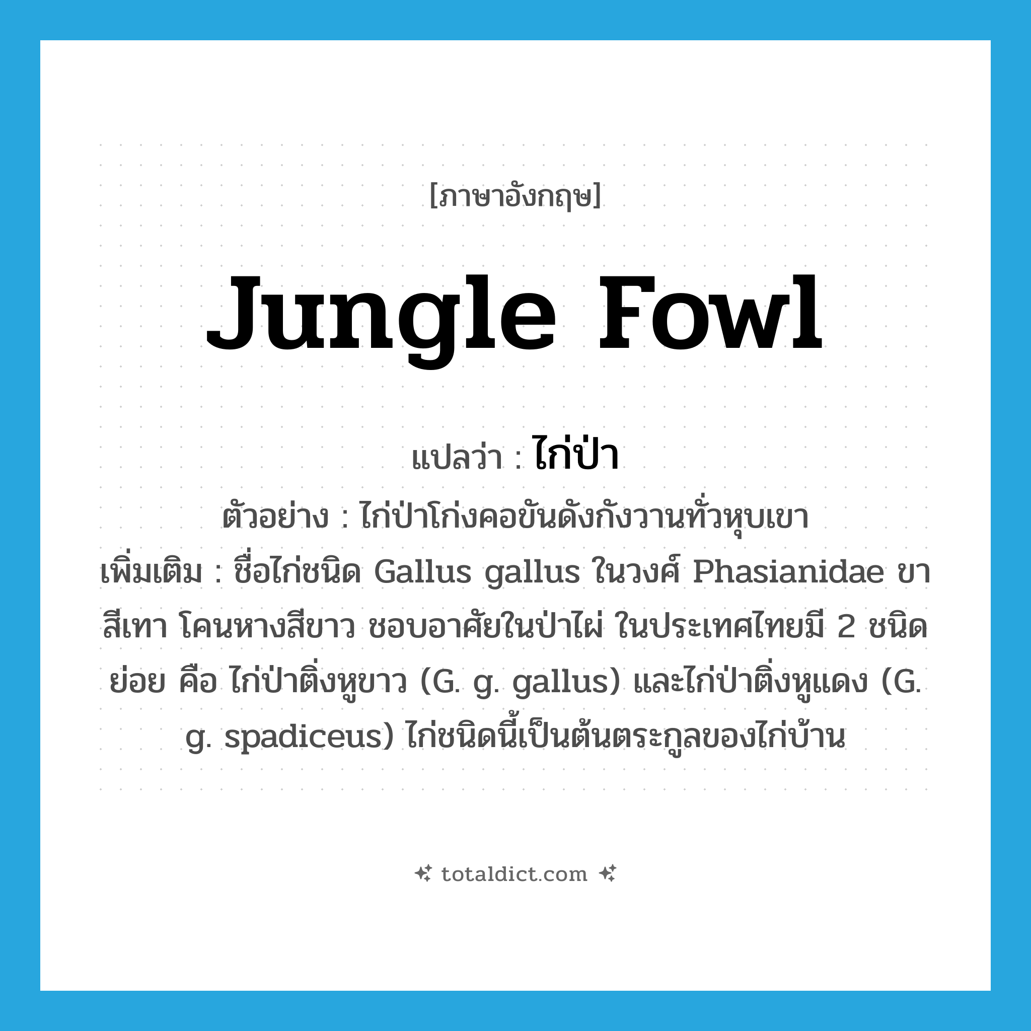 jungle fowl แปลว่า?, คำศัพท์ภาษาอังกฤษ jungle fowl แปลว่า ไก่ป่า ประเภท N ตัวอย่าง ไก่ป่าโก่งคอขันดังกังวานทั่วหุบเขา เพิ่มเติม ชื่อไก่ชนิด Gallus gallus ในวงศ์ Phasianidae ขาสีเทา โคนหางสีขาว ชอบอาศัยในป่าไผ่ ในประเทศไทยมี 2 ชนิดย่อย คือ ไก่ป่าติ่งหูขาว (G. g. gallus) และไก่ป่าติ่งหูแดง (G. g. spadiceus) ไก่ชนิดนี้เป็นต้นตระกูลของไก่บ้าน หมวด N