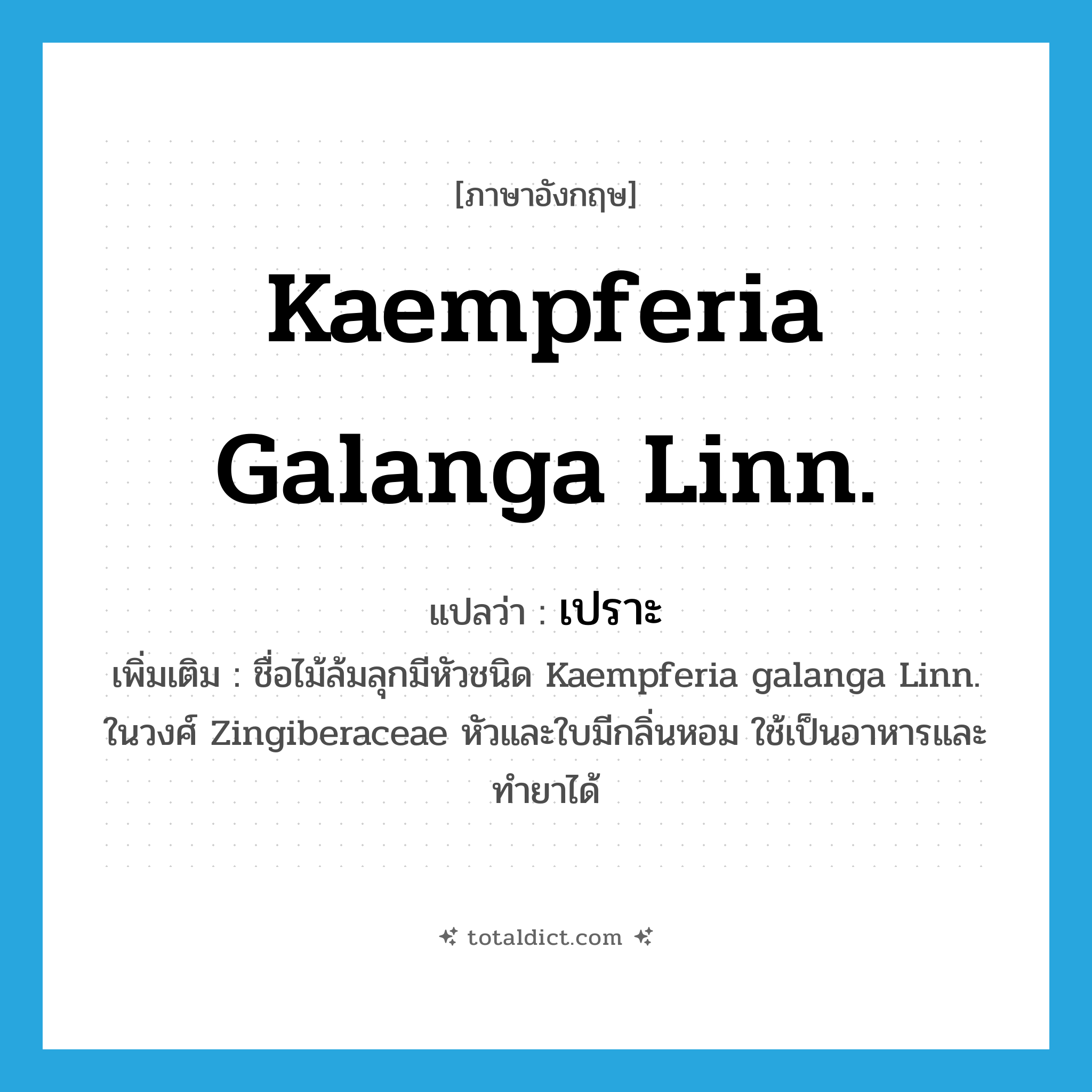 เปราะ ภาษาอังกฤษ?, คำศัพท์ภาษาอังกฤษ เปราะ แปลว่า Kaempferia galanga Linn. ประเภท N เพิ่มเติม ชื่อไม้ล้มลุกมีหัวชนิด Kaempferia galanga Linn. ในวงศ์ Zingiberaceae หัวและใบมีกลิ่นหอม ใช้เป็นอาหารและทำยาได้ หมวด N