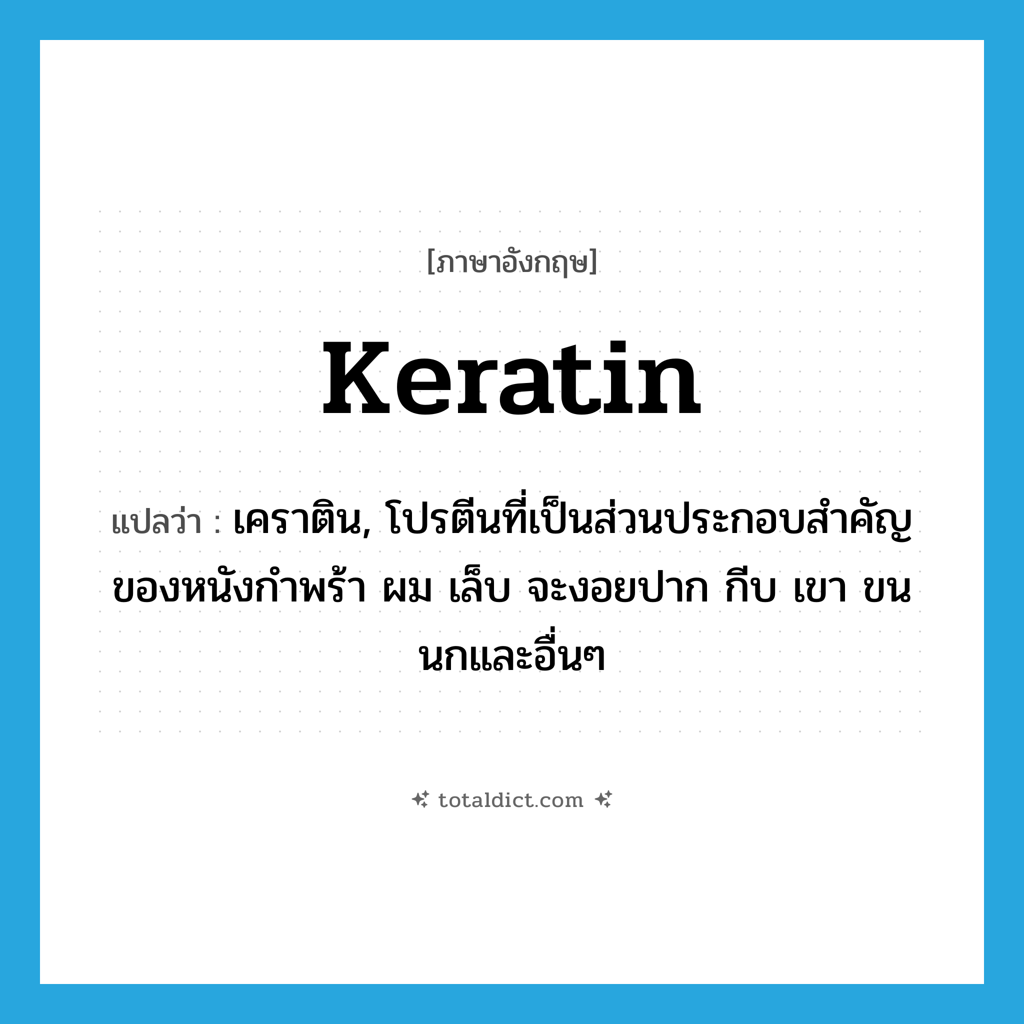 keratin แปลว่า?, คำศัพท์ภาษาอังกฤษ keratin แปลว่า เคราติน, โปรตีนที่เป็นส่วนประกอบสำคัญของหนังกำพร้า ผม เล็บ จะงอยปาก กีบ เขา ขนนกและอื่นๆ ประเภท N หมวด N
