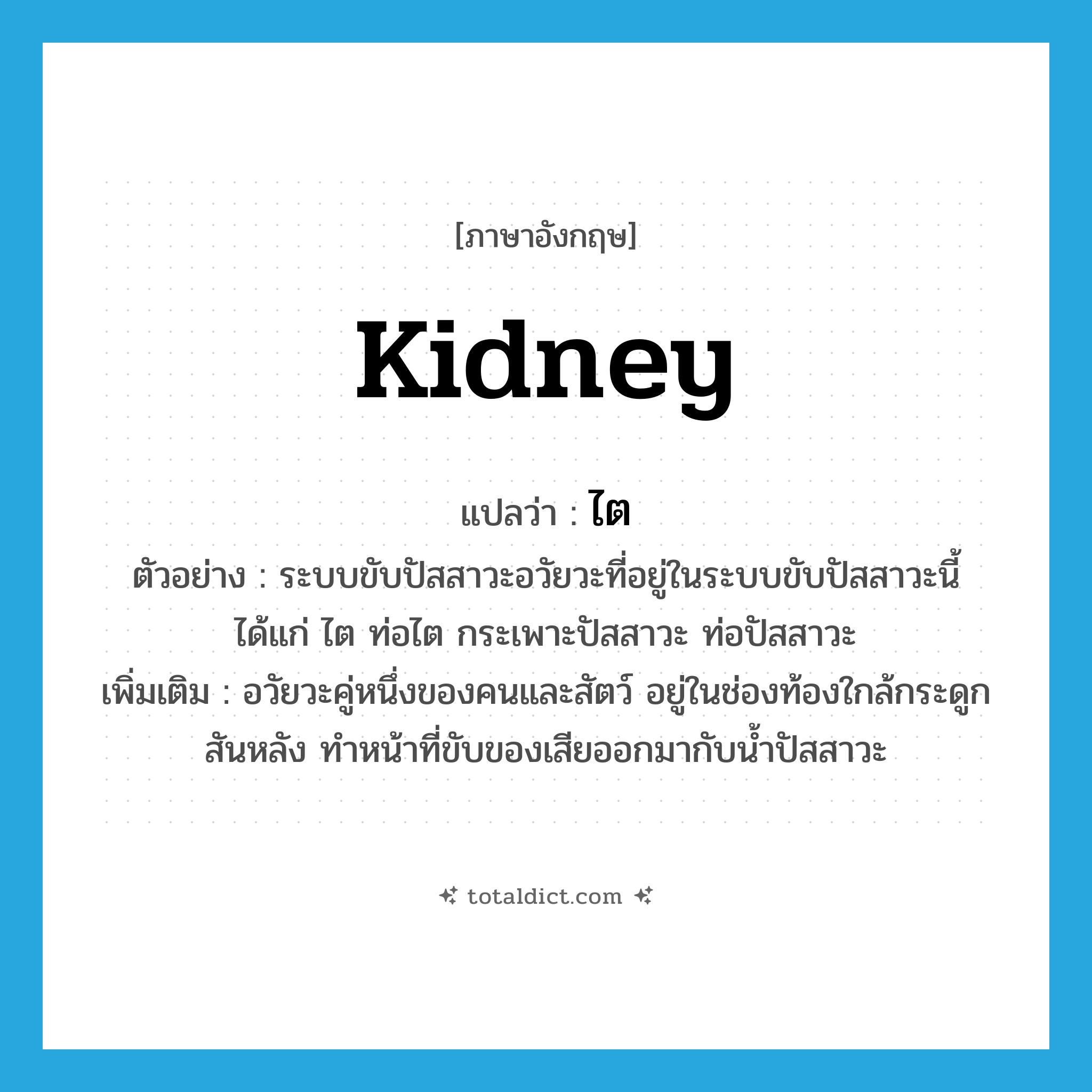 ไต ภาษาอังกฤษ?, คำศัพท์ภาษาอังกฤษ ไต แปลว่า kidney ประเภท N ตัวอย่าง ระบบขับปัสสาวะอวัยวะที่อยู่ในระบบขับปัสสาวะนี้ได้แก่ ไต ท่อไต กระเพาะปัสสาวะ ท่อปัสสาวะ เพิ่มเติม อวัยวะคู่หนึ่งของคนและสัตว์ อยู่ในช่องท้องใกล้กระดูกสันหลัง ทำหน้าที่ขับของเสียออกมากับน้ำปัสสาวะ หมวด N