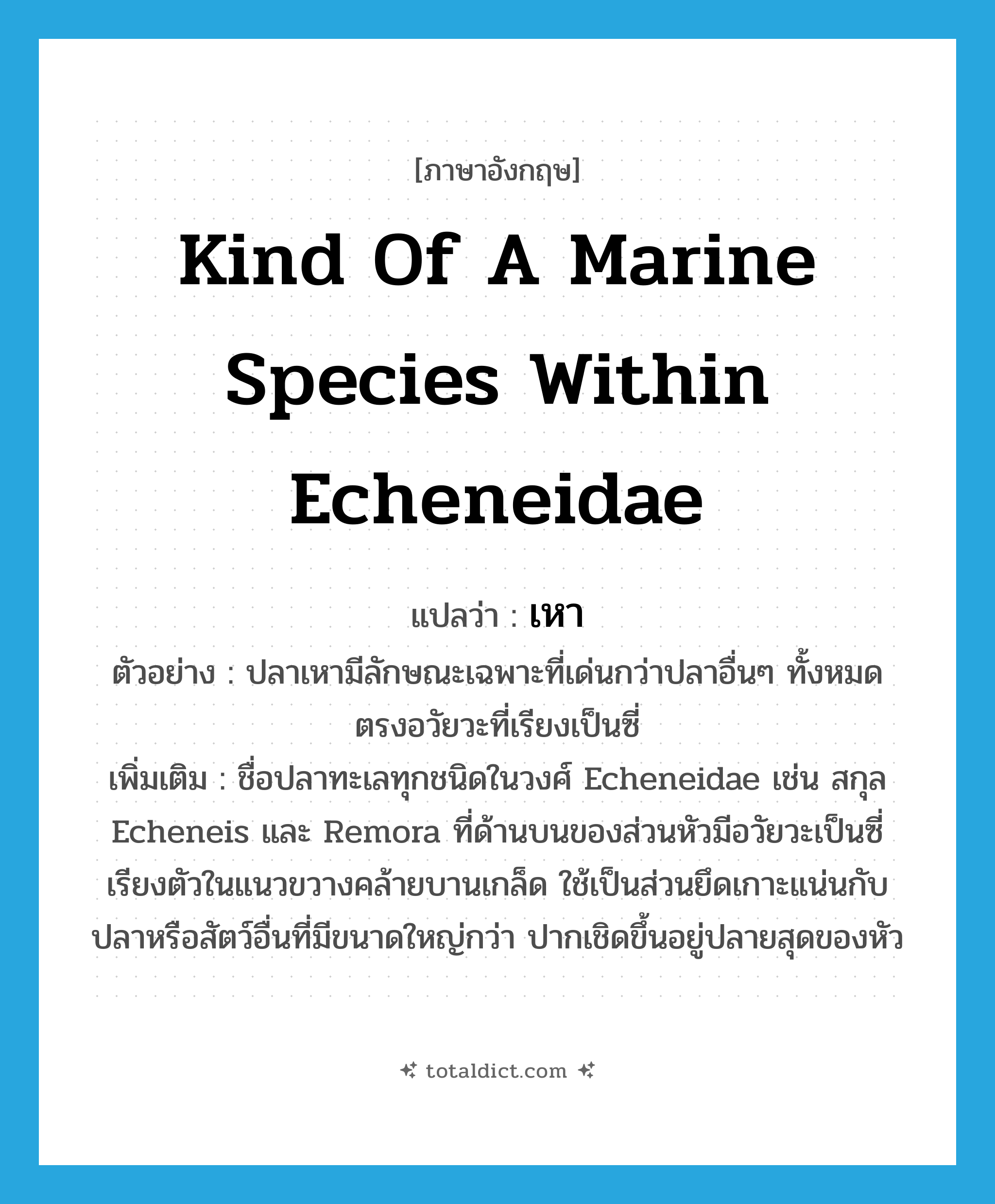 kind of a marine species within Echeneidae แปลว่า?, คำศัพท์ภาษาอังกฤษ kind of a marine species within Echeneidae แปลว่า เหา ประเภท N ตัวอย่าง ปลาเหามีลักษณะเฉพาะที่เด่นกว่าปลาอื่นๆ ทั้งหมดตรงอวัยวะที่เรียงเป็นซี่ เพิ่มเติม ชื่อปลาทะเลทุกชนิดในวงศ์ Echeneidae เช่น สกุล Echeneis และ Remora ที่ด้านบนของส่วนหัวมีอวัยวะเป็นซี่เรียงตัวในแนวขวางคล้ายบานเกล็ด ใช้เป็นส่วนยึดเกาะแน่นกับปลาหรือสัตว์อื่นที่มีขนาดใหญ่กว่า ปากเชิดขึ้นอยู่ปลายสุดของหัว หมวด N