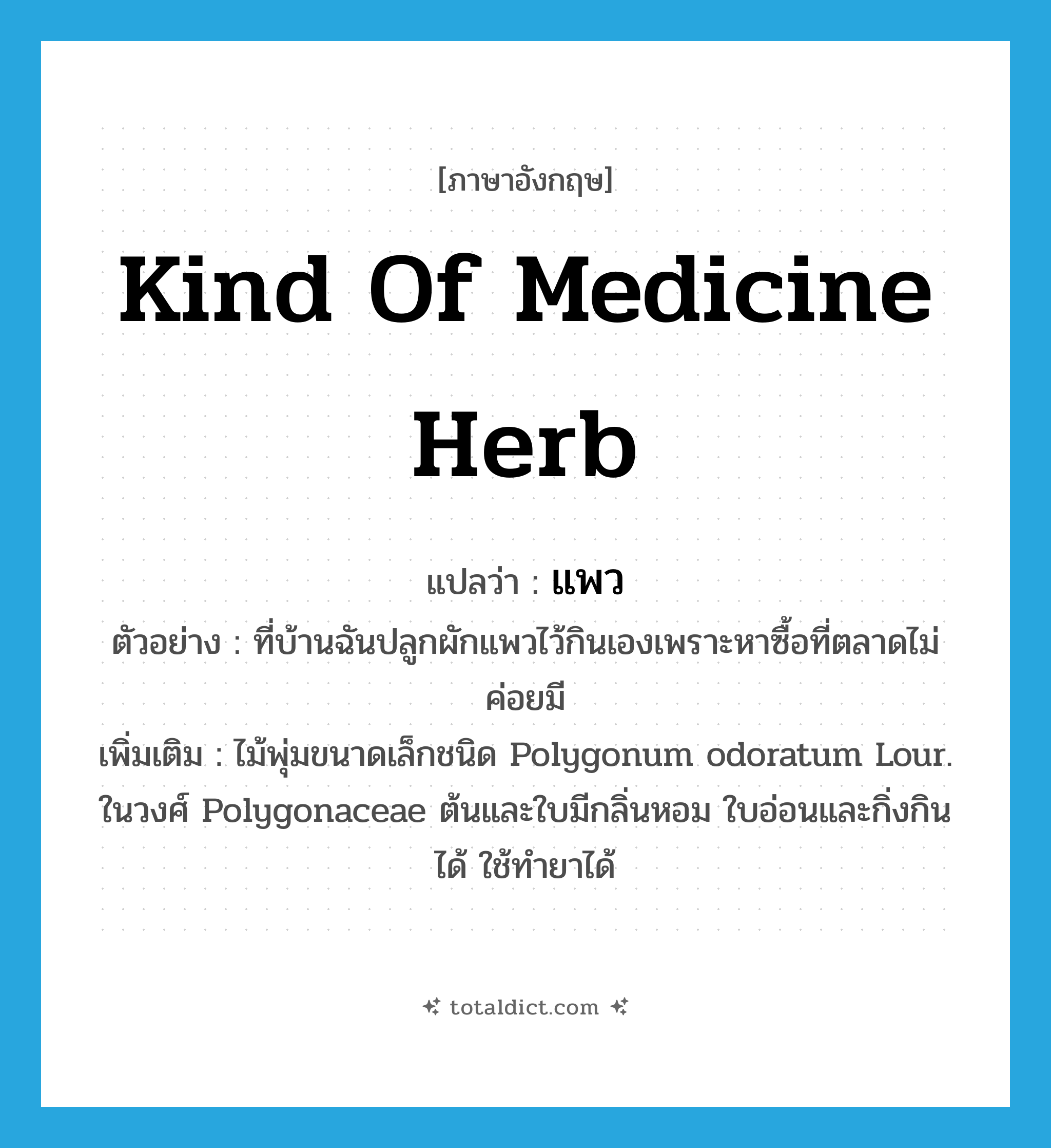 kind of medicine herb แปลว่า?, คำศัพท์ภาษาอังกฤษ kind of medicine herb แปลว่า แพว ประเภท N ตัวอย่าง ที่บ้านฉันปลูกผักแพวไว้กินเองเพราะหาซื้อที่ตลาดไม่ค่อยมี เพิ่มเติม ไม้พุ่มขนาดเล็กชนิด Polygonum odoratum Lour. ในวงศ์ Polygonaceae ต้นและใบมีกลิ่นหอม ใบอ่อนและกิ่งกินได้ ใช้ทำยาได้ หมวด N