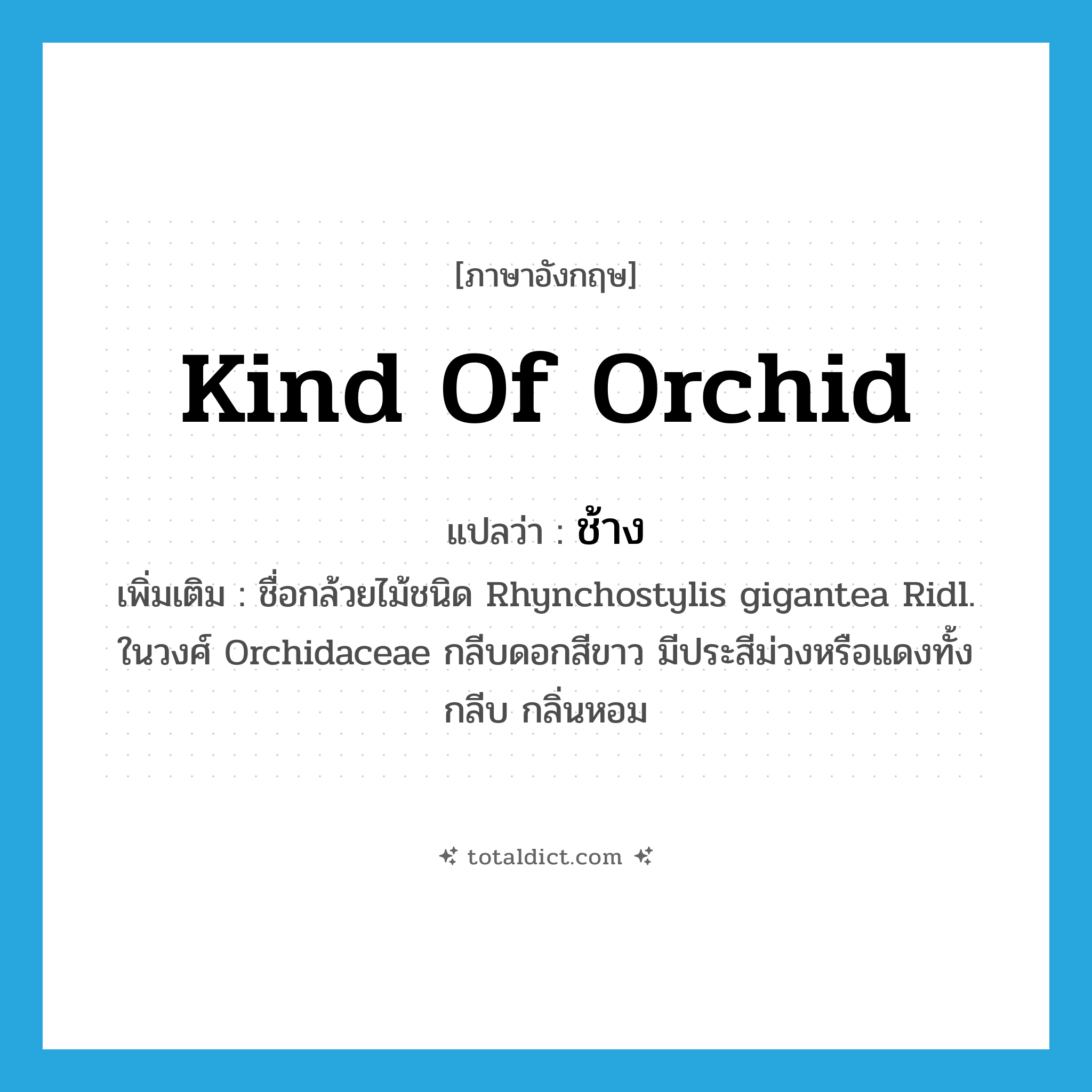 ช้าง ภาษาอังกฤษ?, คำศัพท์ภาษาอังกฤษ ช้าง แปลว่า kind of orchid ประเภท N เพิ่มเติม ชื่อกล้วยไม้ชนิด Rhynchostylis gigantea Ridl. ในวงศ์ Orchidaceae กลีบดอกสีขาว มีประสีม่วงหรือแดงทั้งกลีบ กลิ่นหอม หมวด N