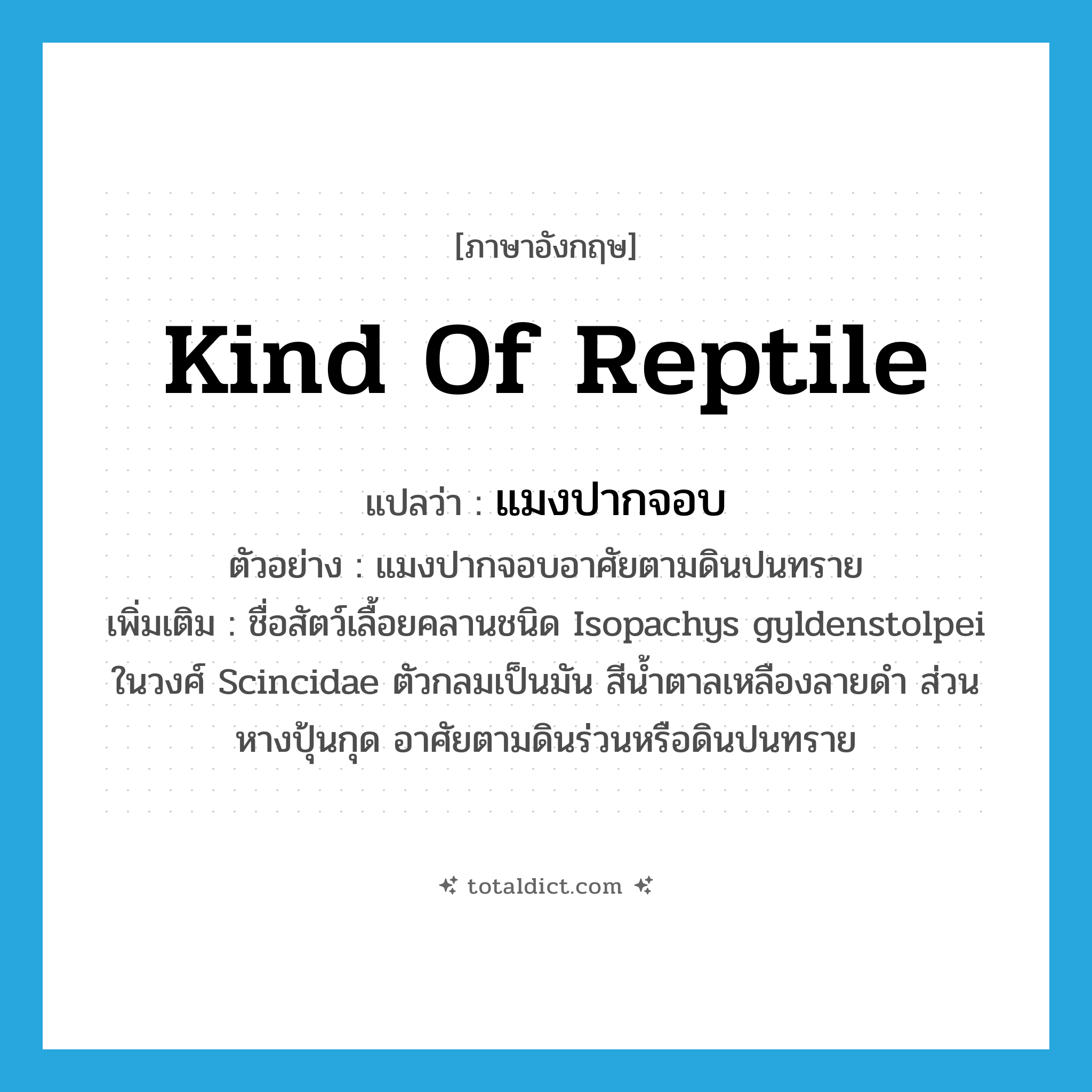 kind of reptile แปลว่า?, คำศัพท์ภาษาอังกฤษ kind of reptile แปลว่า แมงปากจอบ ประเภท N ตัวอย่าง แมงปากจอบอาศัยตามดินปนทราย เพิ่มเติม ชื่อสัตว์เลื้อยคลานชนิด Isopachys gyldenstolpei ในวงศ์ Scincidae ตัวกลมเป็นมัน สีน้ำตาลเหลืองลายดำ ส่วนหางปุ้นกุด อาศัยตามดินร่วนหรือดินปนทราย หมวด N