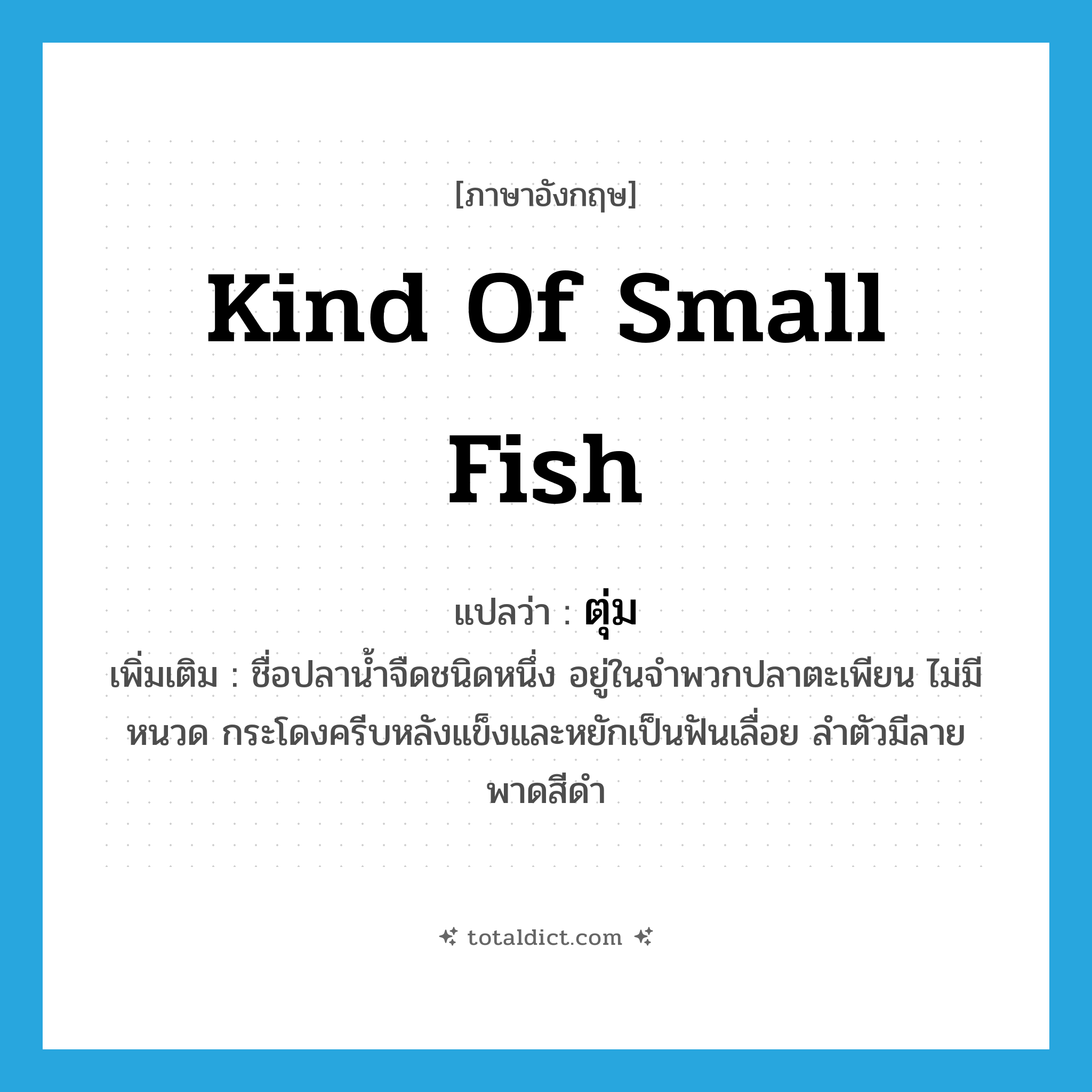 kind of small fish แปลว่า?, คำศัพท์ภาษาอังกฤษ kind of small fish แปลว่า ตุ่ม ประเภท N เพิ่มเติม ชื่อปลาน้ำจืดชนิดหนึ่ง อยู่ในจำพวกปลาตะเพียน ไม่มีหนวด กระโดงครีบหลังแข็งและหยักเป็นฟันเลื่อย ลำตัวมีลายพาดสีดำ หมวด N