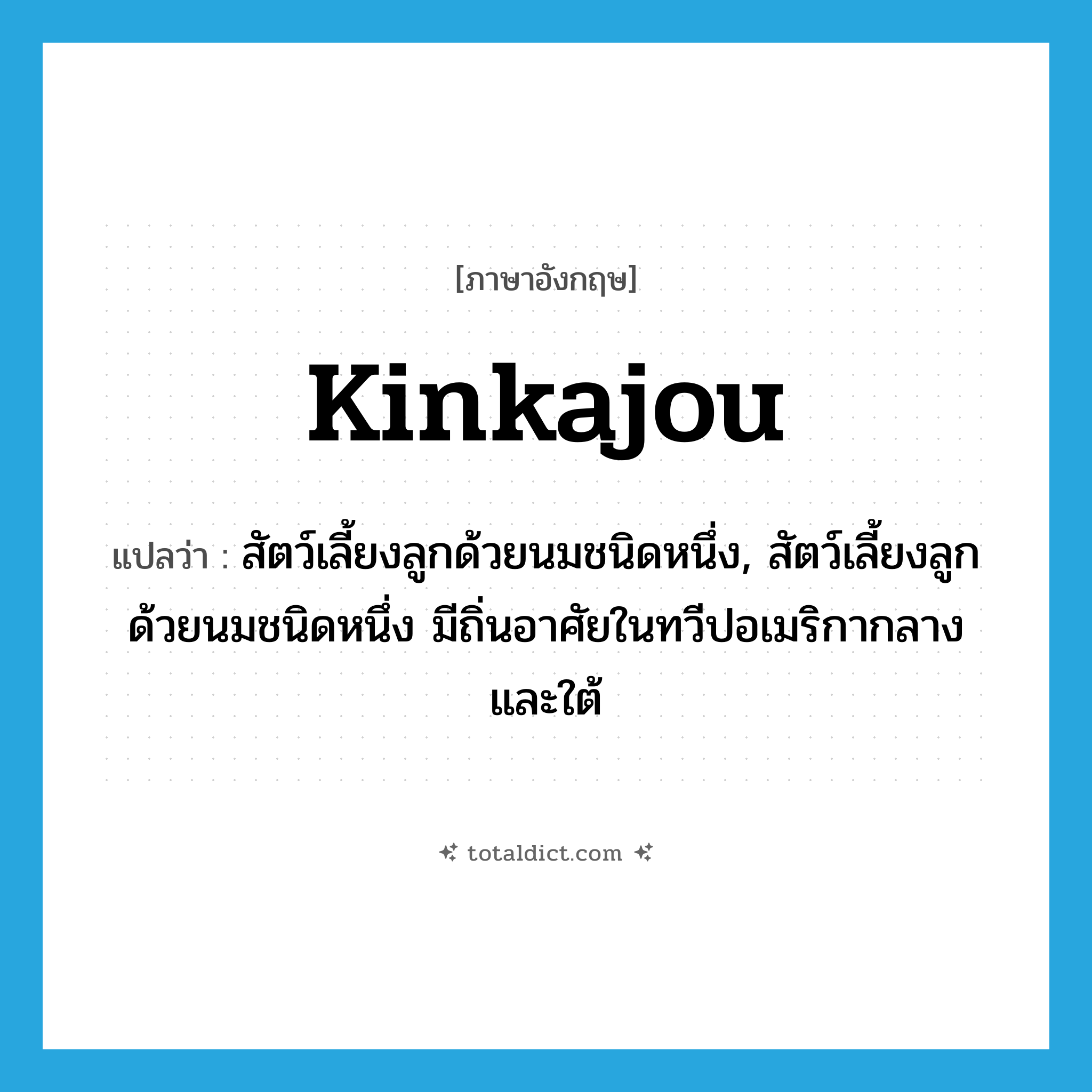 kinkajou แปลว่า?, คำศัพท์ภาษาอังกฤษ kinkajou แปลว่า สัตว์เลี้ยงลูกด้วยนมชนิดหนึ่ง, สัตว์เลี้ยงลูกด้วยนมชนิดหนึ่ง มีถิ่นอาศัยในทวีปอเมริกากลางและใต้ ประเภท N หมวด N