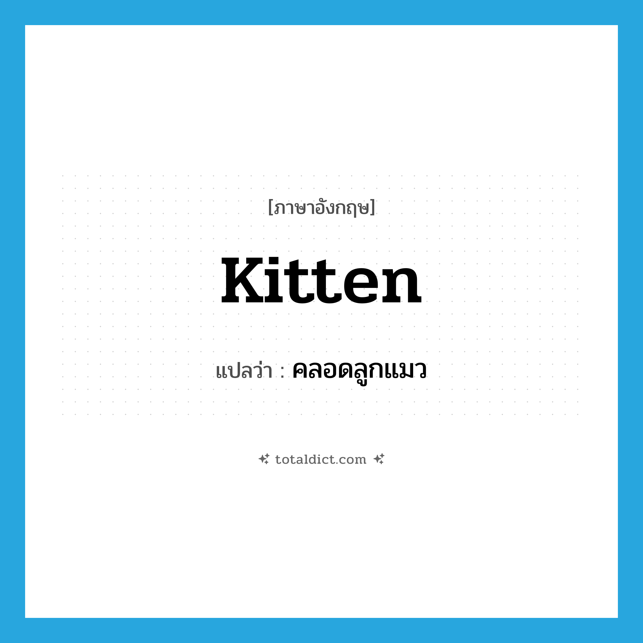 kitten แปลว่า?, คำศัพท์ภาษาอังกฤษ kitten แปลว่า คลอดลูกแมว ประเภท VI หมวด VI