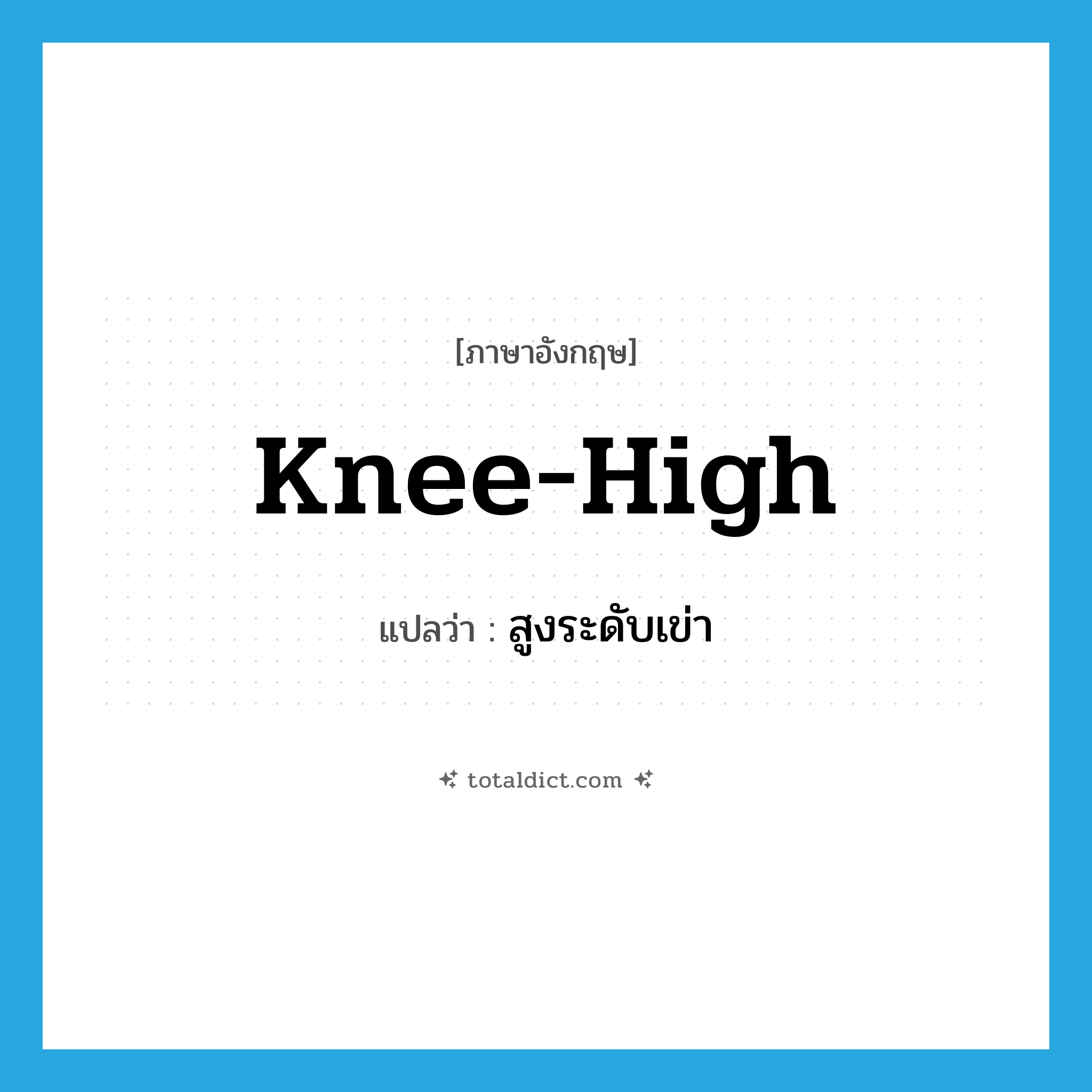 knee-high แปลว่า?, คำศัพท์ภาษาอังกฤษ knee-high แปลว่า สูงระดับเข่า ประเภท ADJ หมวด ADJ