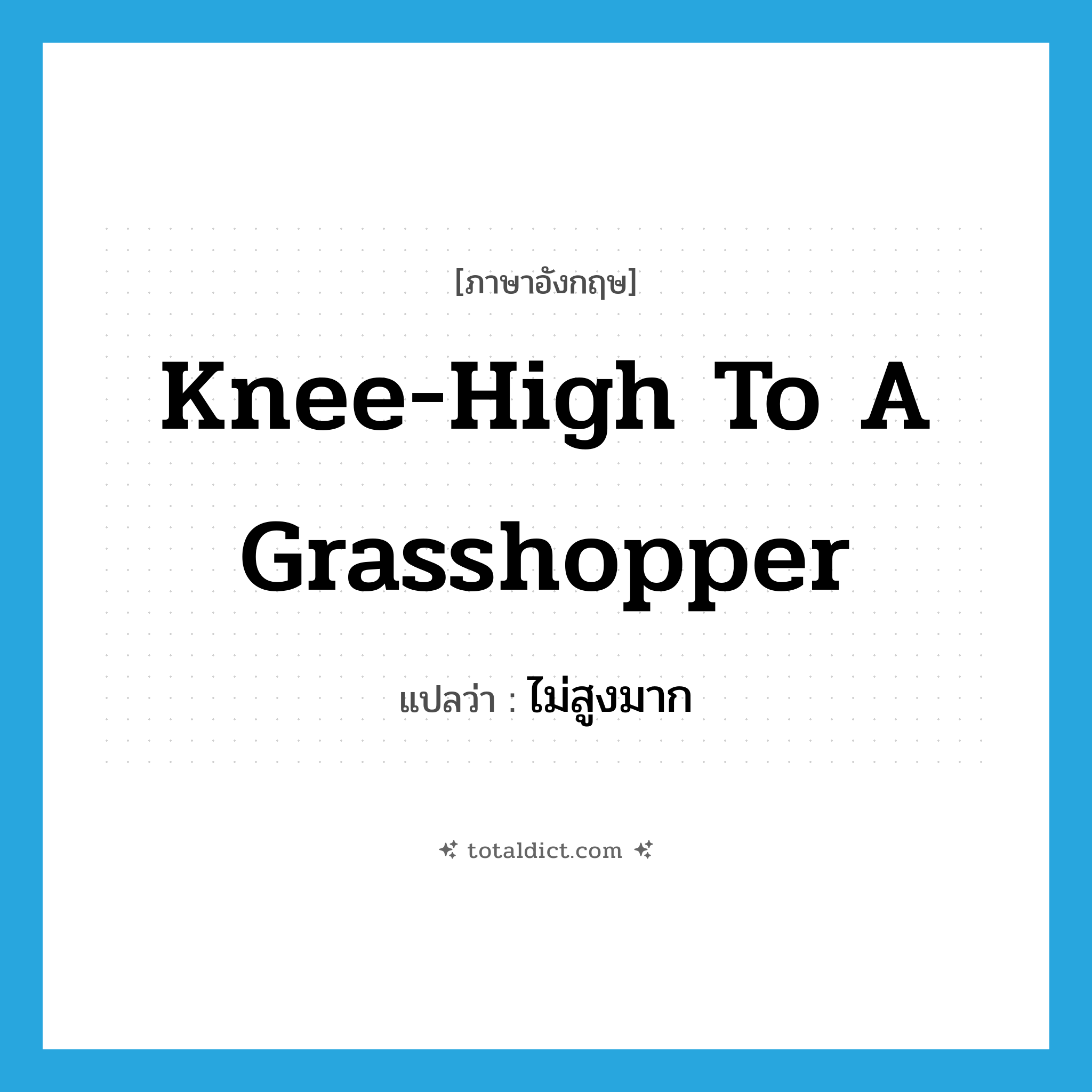 knee-high to a grasshopper แปลว่า?, คำศัพท์ภาษาอังกฤษ knee-high to a grasshopper แปลว่า ไม่สูงมาก ประเภท IDM หมวด IDM