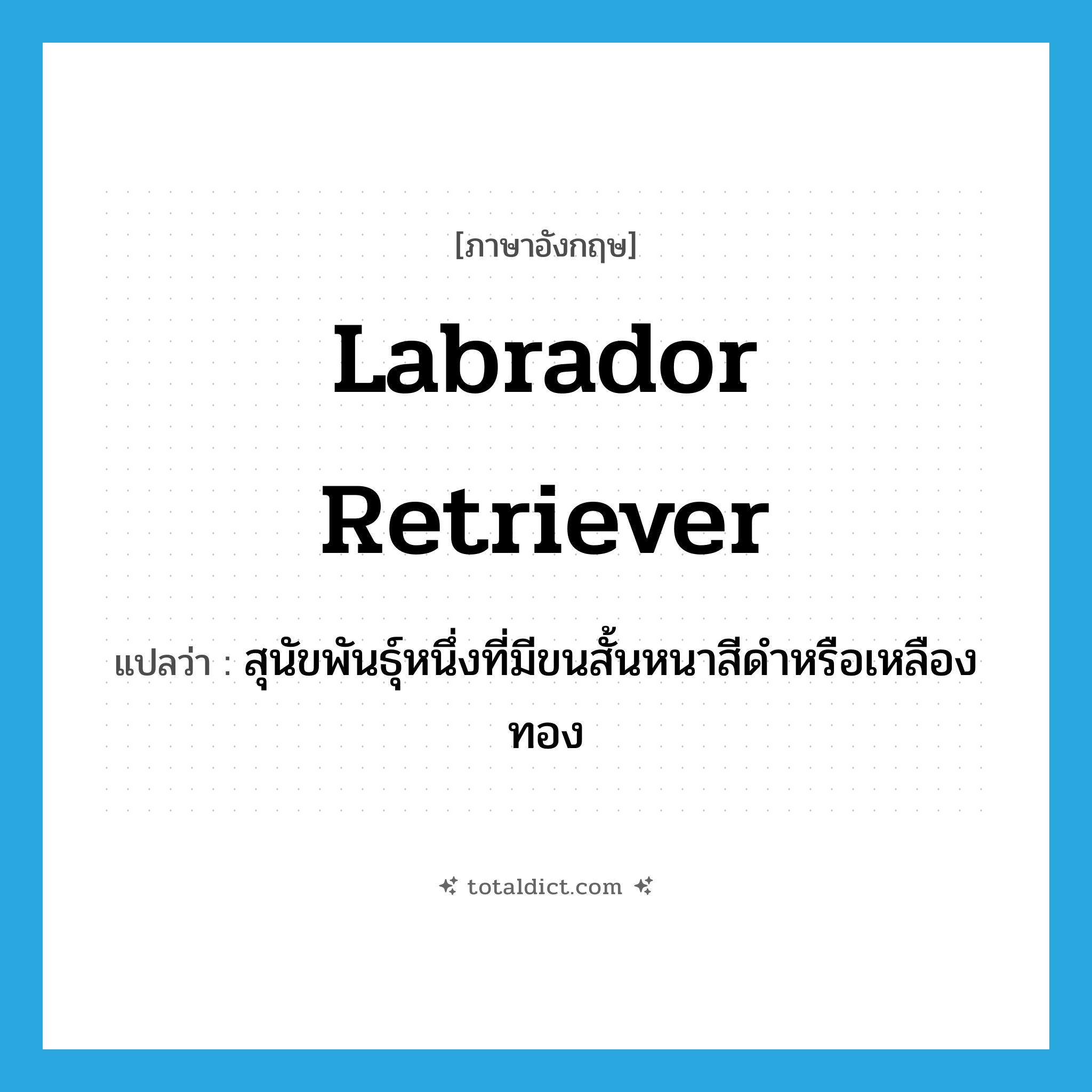Labrador retriever แปลว่า?, คำศัพท์ภาษาอังกฤษ Labrador retriever แปลว่า สุนัขพันธุ์หนึ่งที่มีขนสั้นหนาสีดำหรือเหลืองทอง ประเภท N หมวด N