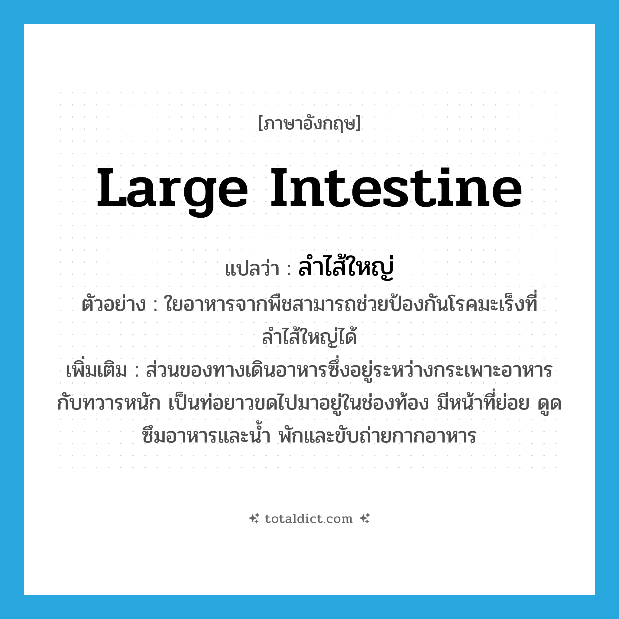 large intestine แปลว่า?, คำศัพท์ภาษาอังกฤษ large intestine แปลว่า ลำไส้ใหญ่ ประเภท N ตัวอย่าง ใยอาหารจากพืชสามารถช่วยป้องกันโรคมะเร็งที่ลำไส้ใหญ่ได้ เพิ่มเติม ส่วนของทางเดินอาหารซึ่งอยู่ระหว่างกระเพาะอาหารกับทวารหนัก เป็นท่อยาวขดไปมาอยู่ในช่องท้อง มีหน้าที่ย่อย ดูดซึมอาหารและน้ำ พักและขับถ่ายกากอาหาร หมวด N