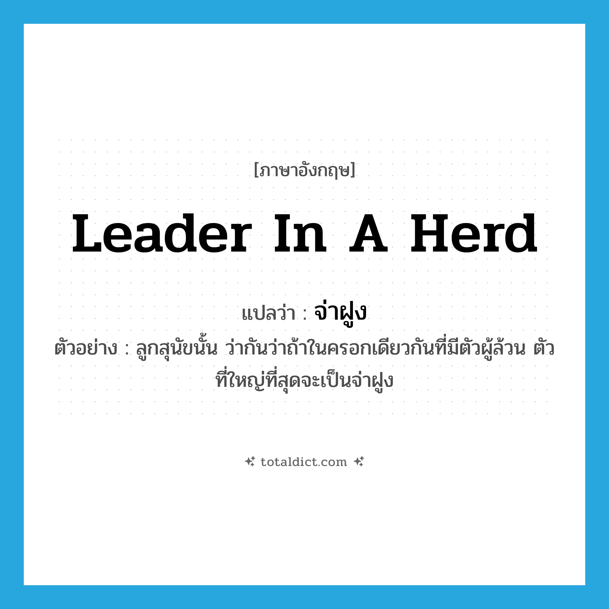 leader in a herd แปลว่า?, คำศัพท์ภาษาอังกฤษ leader in a herd แปลว่า จ่าฝูง ประเภท N ตัวอย่าง ลูกสุนัขนั้น ว่ากันว่าถ้าในครอกเดียวกันที่มีตัวผู้ล้วน ตัวที่ใหญ่ที่สุดจะเป็นจ่าฝูง หมวด N
