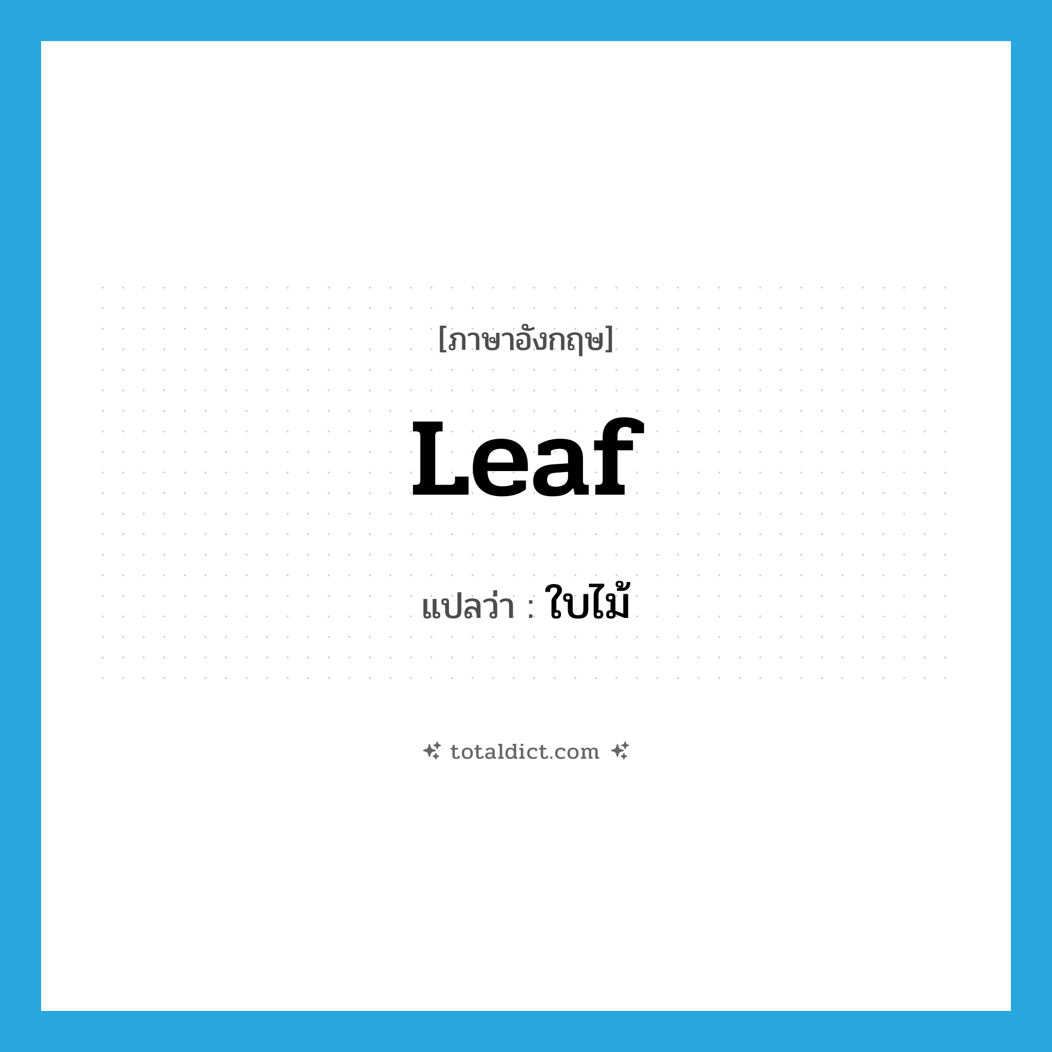 ใบไม้ ภาษาอังกฤษ?, คำศัพท์ภาษาอังกฤษ ใบไม้ แปลว่า leaf ประเภท N หมวด N