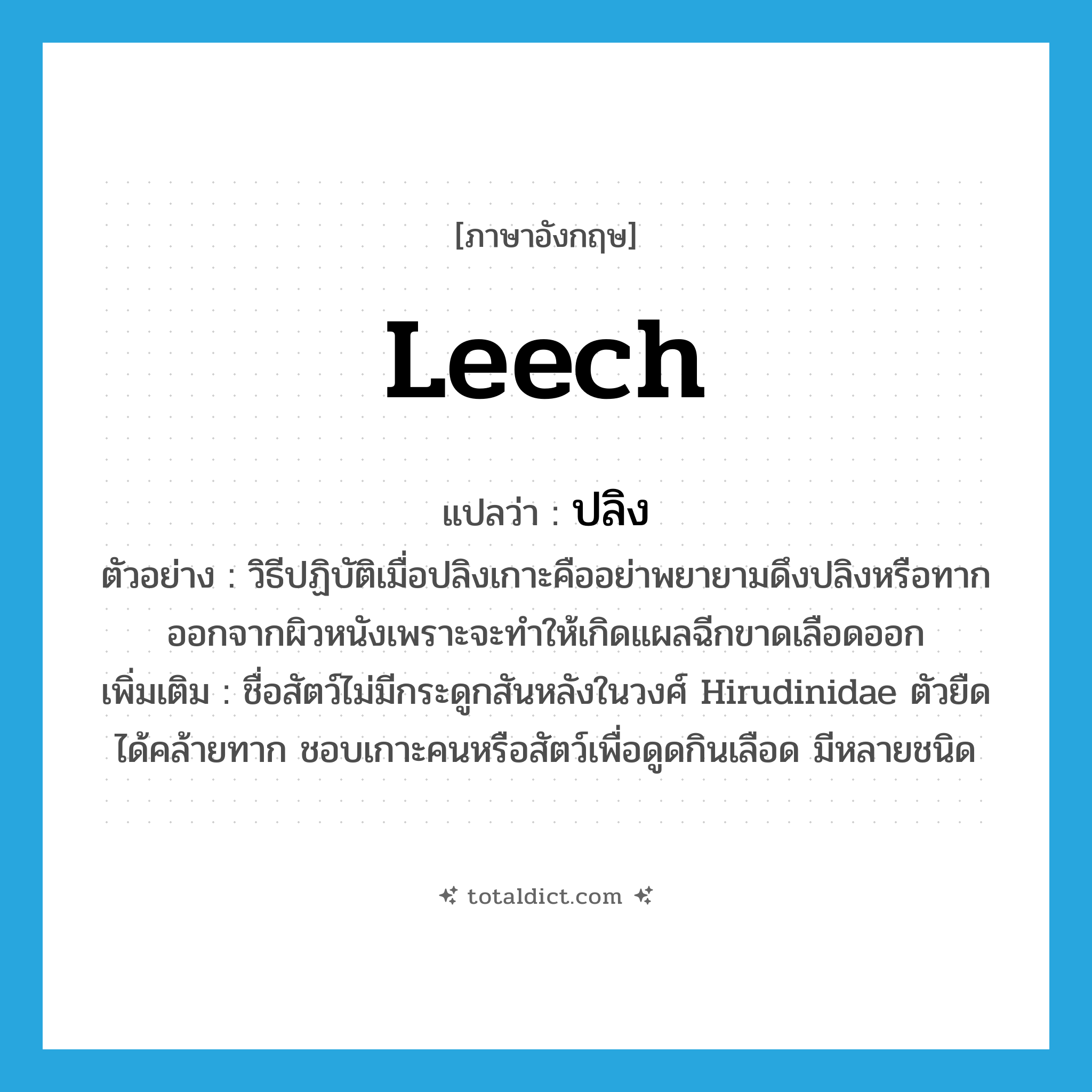 leech แปลว่า?, คำศัพท์ภาษาอังกฤษ leech แปลว่า ปลิง ประเภท N ตัวอย่าง วิธีปฏิบัติเมื่อปลิงเกาะคืออย่าพยายามดึงปลิงหรือทากออกจากผิวหนังเพราะจะทำให้เกิดแผลฉีกขาดเลือดออก เพิ่มเติม ชื่อสัตว์ไม่มีกระดูกสันหลังในวงศ์ Hirudinidae ตัวยืดได้คล้ายทาก ชอบเกาะคนหรือสัตว์เพื่อดูดกินเลือด มีหลายชนิด หมวด N