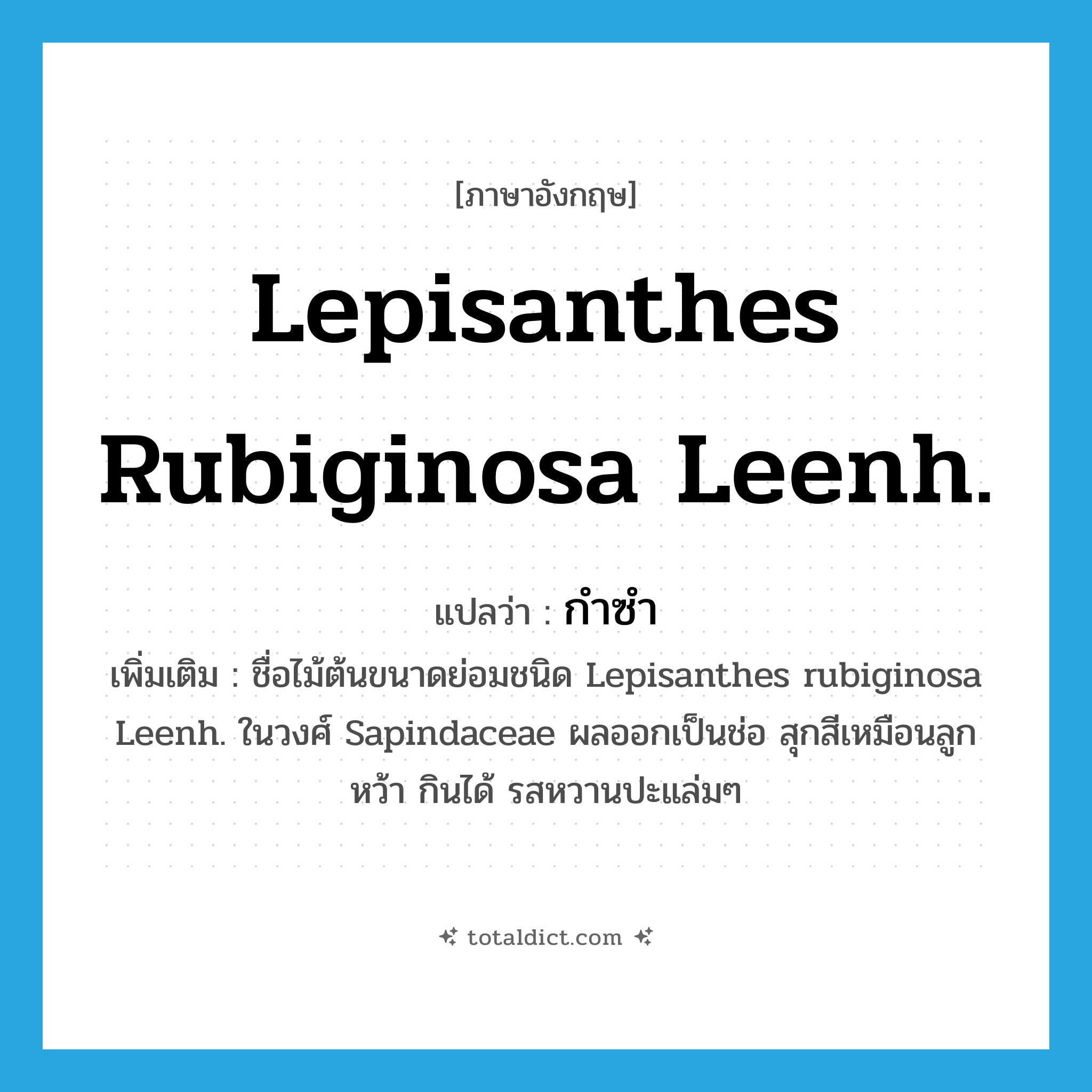 Lepisanthes rubiginosa Leenh. แปลว่า?, คำศัพท์ภาษาอังกฤษ Lepisanthes rubiginosa Leenh. แปลว่า กำซำ ประเภท N เพิ่มเติม ชื่อไม้ต้นขนาดย่อมชนิด Lepisanthes rubiginosa Leenh. ในวงศ์ Sapindaceae ผลออกเป็นช่อ สุกสีเหมือนลูกหว้า กินได้ รสหวานปะแล่มๆ หมวด N