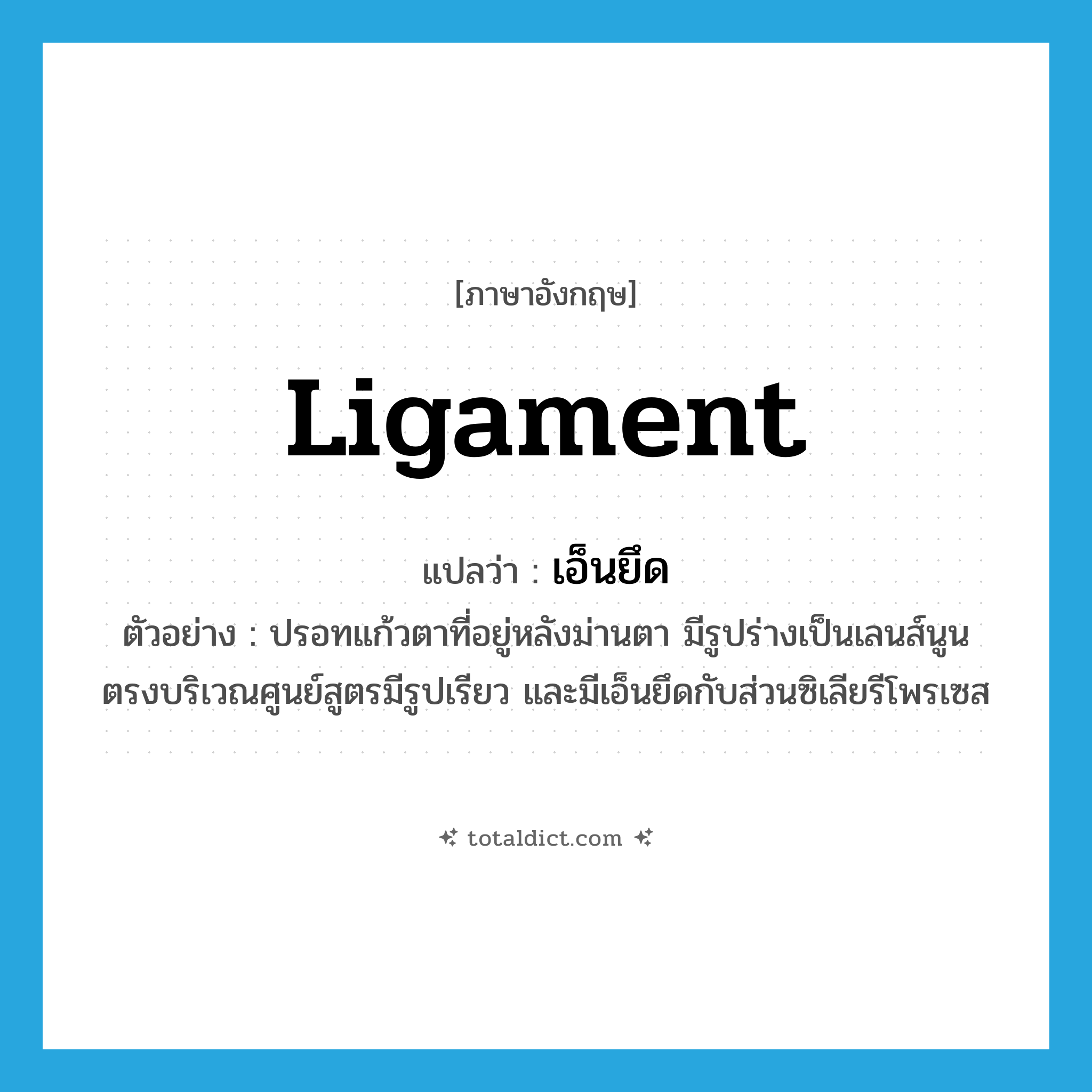 ligament แปลว่า?, คำศัพท์ภาษาอังกฤษ ligament แปลว่า เอ็นยึด ประเภท N ตัวอย่าง ปรอทแก้วตาที่อยู่หลังม่านตา มีรูปร่างเป็นเลนส์นูน ตรงบริเวณศูนย์สูตรมีรูปเรียว และมีเอ็นยึดกับส่วนซิเลียรีโพรเซส หมวด N