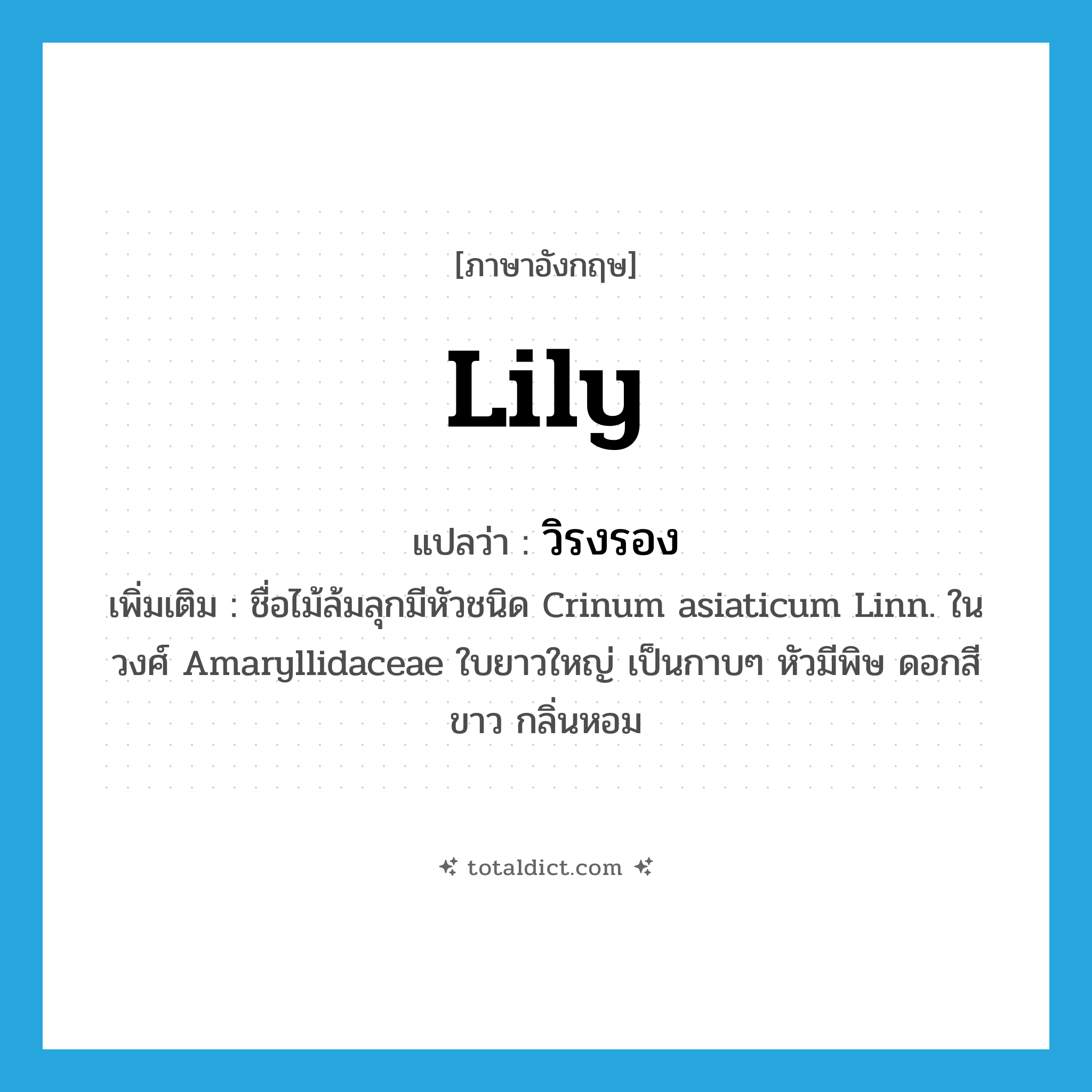 lily แปลว่า?, คำศัพท์ภาษาอังกฤษ lily แปลว่า วิรงรอง ประเภท N เพิ่มเติม ชื่อไม้ล้มลุกมีหัวชนิด Crinum asiaticum Linn. ในวงศ์ Amaryllidaceae ใบยาวใหญ่ เป็นกาบๆ หัวมีพิษ ดอกสีขาว กลิ่นหอม หมวด N