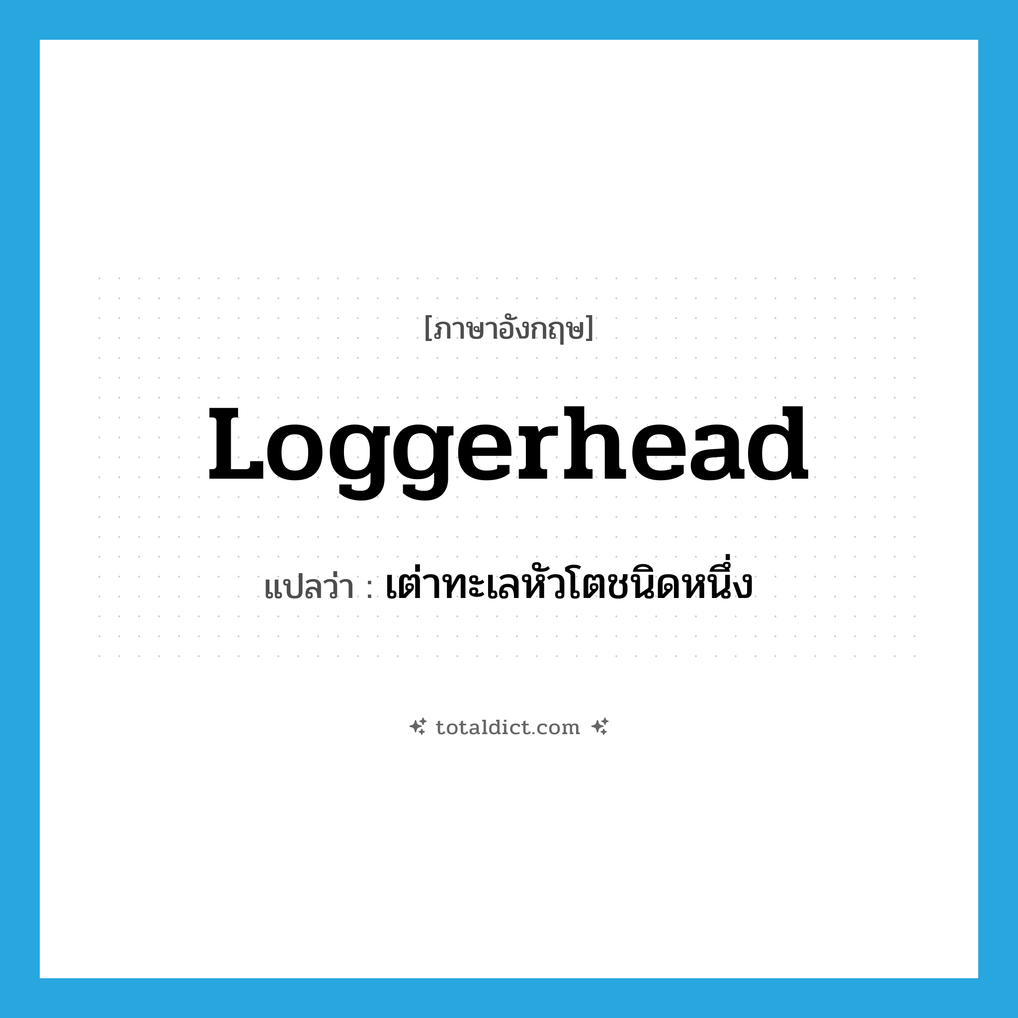 loggerhead แปลว่า?, คำศัพท์ภาษาอังกฤษ loggerhead แปลว่า เต่าทะเลหัวโตชนิดหนึ่ง ประเภท N หมวด N