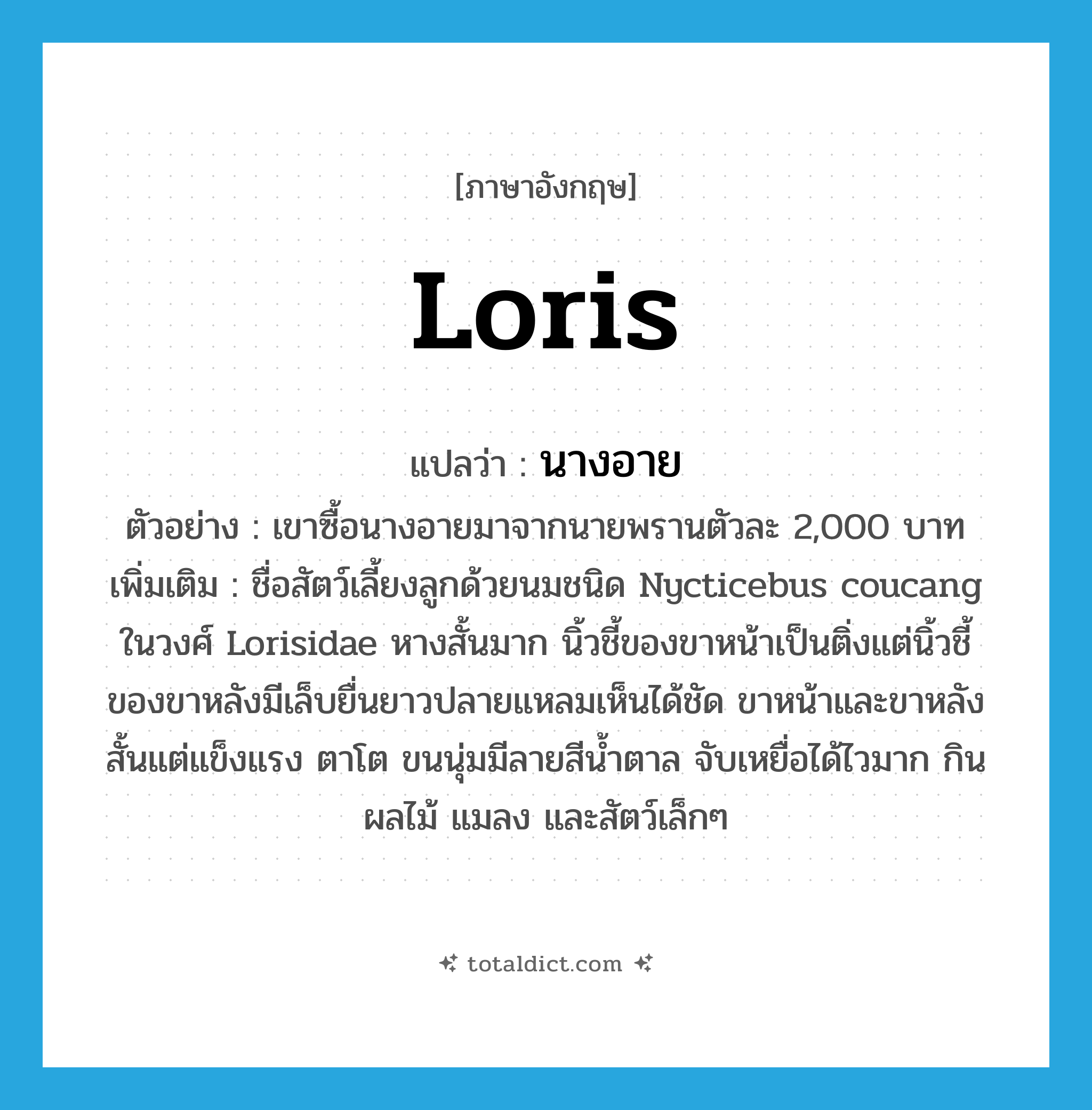 loris แปลว่า?, คำศัพท์ภาษาอังกฤษ loris แปลว่า นางอาย ประเภท N ตัวอย่าง เขาซื้อนางอายมาจากนายพรานตัวละ 2,000 บาท เพิ่มเติม ชื่อสัตว์เลี้ยงลูกด้วยนมชนิด Nycticebus coucang ในวงศ์ Lorisidae หางสั้นมาก นิ้วชี้ของขาหน้าเป็นติ่งแต่นิ้วชี้ของขาหลังมีเล็บยื่นยาวปลายแหลมเห็นได้ชัด ขาหน้าและขาหลังสั้นแต่แข็งแรง ตาโต ขนนุ่มมีลายสีน้ำตาล จับเหยื่อได้ไวมาก กินผลไม้ แมลง และสัตว์เล็กๆ หมวด N