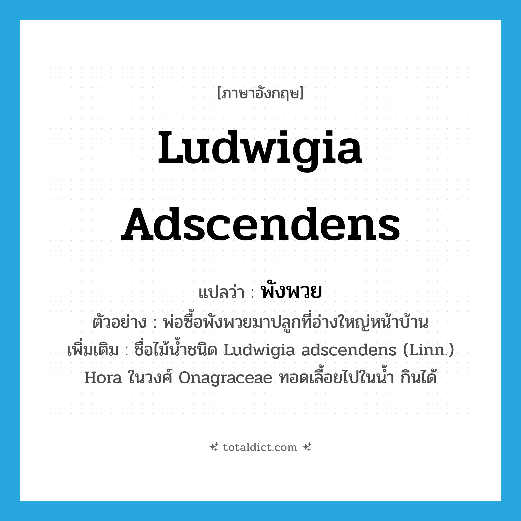 Ludwigia adscendens แปลว่า?, คำศัพท์ภาษาอังกฤษ Ludwigia adscendens แปลว่า พังพวย ประเภท N ตัวอย่าง พ่อซื้อพังพวยมาปลูกที่อ่างใหญ่หน้าบ้าน เพิ่มเติม ชื่อไม้น้ำชนิด Ludwigia adscendens (Linn.) Hora ในวงศ์ Onagraceae ทอดเลื้อยไปในน้ำ กินได้ หมวด N