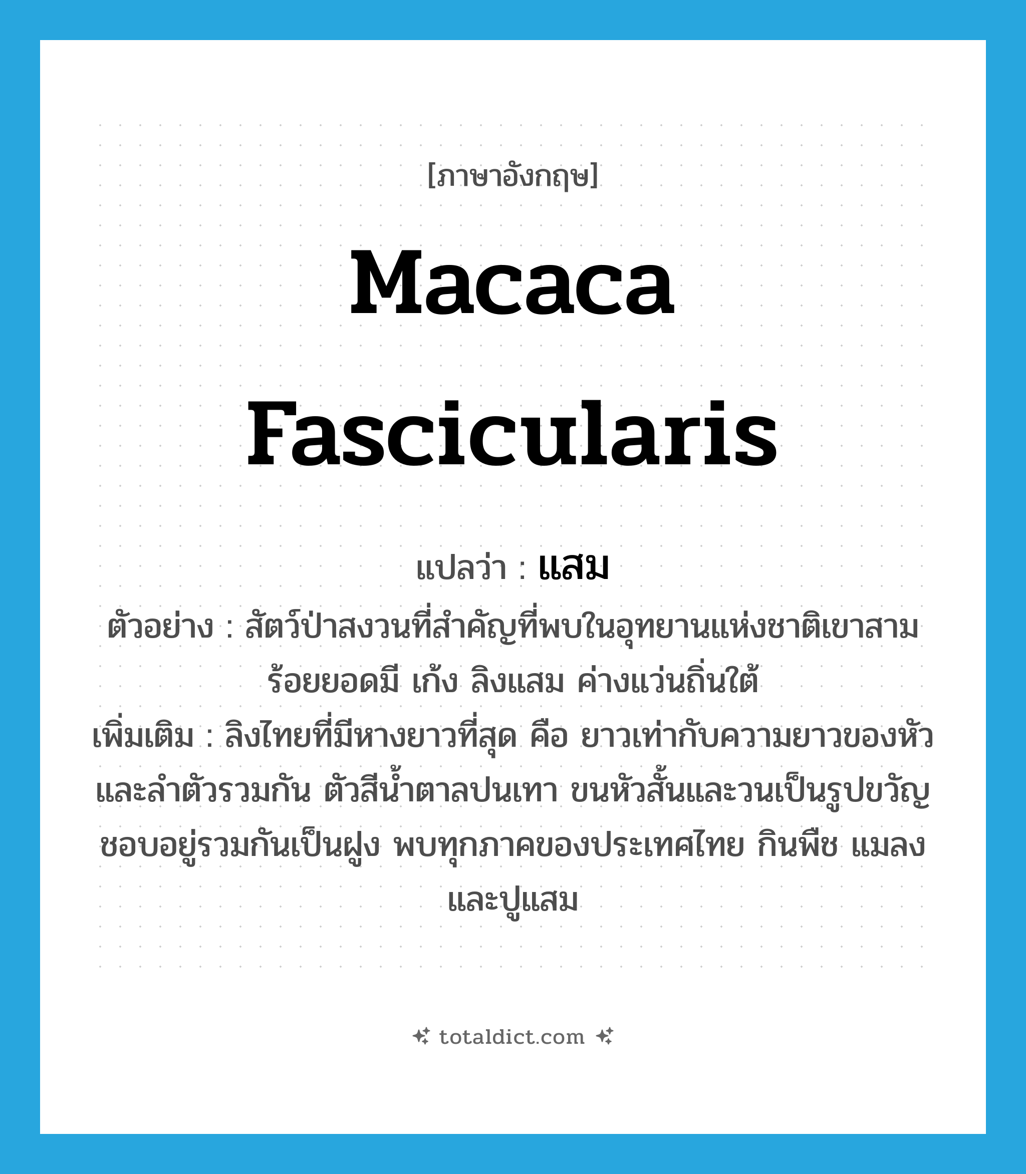 Macaca fascicularis แปลว่า?, คำศัพท์ภาษาอังกฤษ Macaca fascicularis แปลว่า แสม ประเภท N ตัวอย่าง สัตว์ป่าสงวนที่สำคัญที่พบในอุทยานแห่งชาติเขาสามร้อยยอดมี เก้ง ลิงแสม ค่างแว่นถิ่นใต้ เพิ่มเติม ลิงไทยที่มีหางยาวที่สุด คือ ยาวเท่ากับความยาวของหัวและลำตัวรวมกัน ตัวสีน้ำตาลปนเทา ขนหัวสั้นและวนเป็นรูปขวัญ ชอบอยู่รวมกันเป็นฝูง พบทุกภาคของประเทศไทย กินพืช แมลง และปูแสม หมวด N