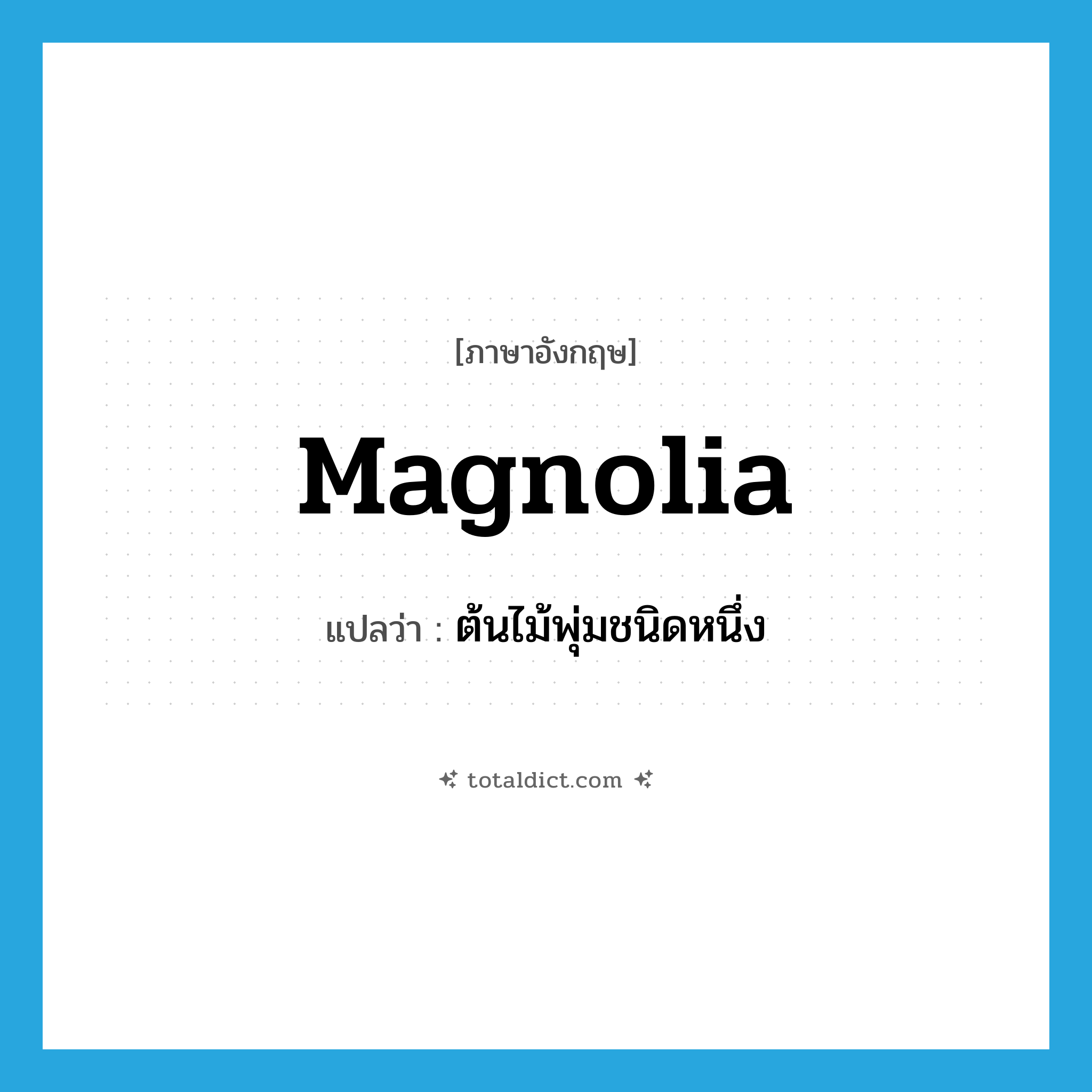 magnolia แปลว่า?, คำศัพท์ภาษาอังกฤษ magnolia แปลว่า ต้นไม้พุ่มชนิดหนึ่ง ประเภท N หมวด N