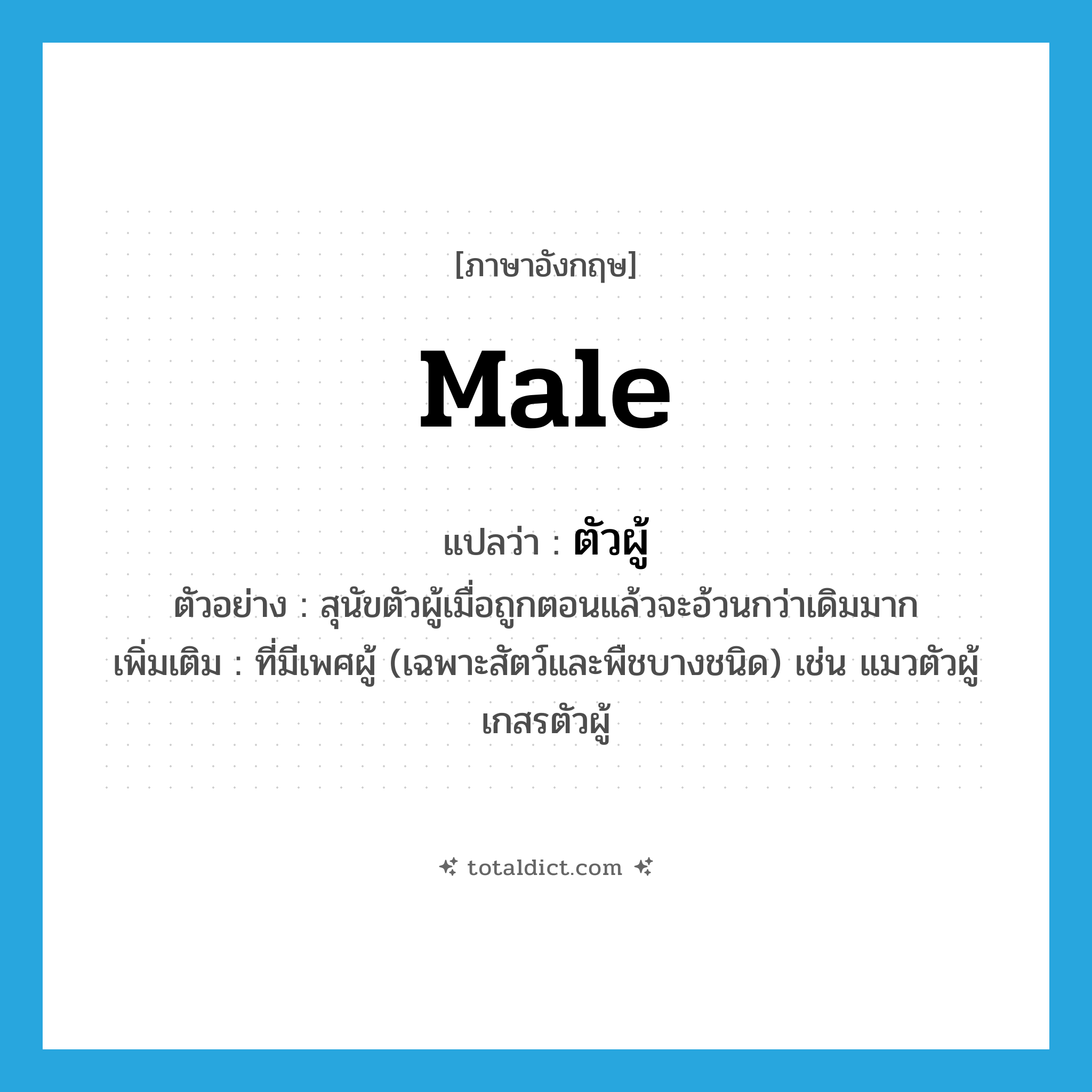 male แปลว่า?, คำศัพท์ภาษาอังกฤษ male แปลว่า ตัวผู้ ประเภท N ตัวอย่าง สุนัขตัวผู้เมื่อถูกตอนแล้วจะอ้วนกว่าเดิมมาก เพิ่มเติม ที่มีเพศผู้ (เฉพาะสัตว์และพืชบางชนิด) เช่น แมวตัวผู้ เกสรตัวผู้ หมวด N