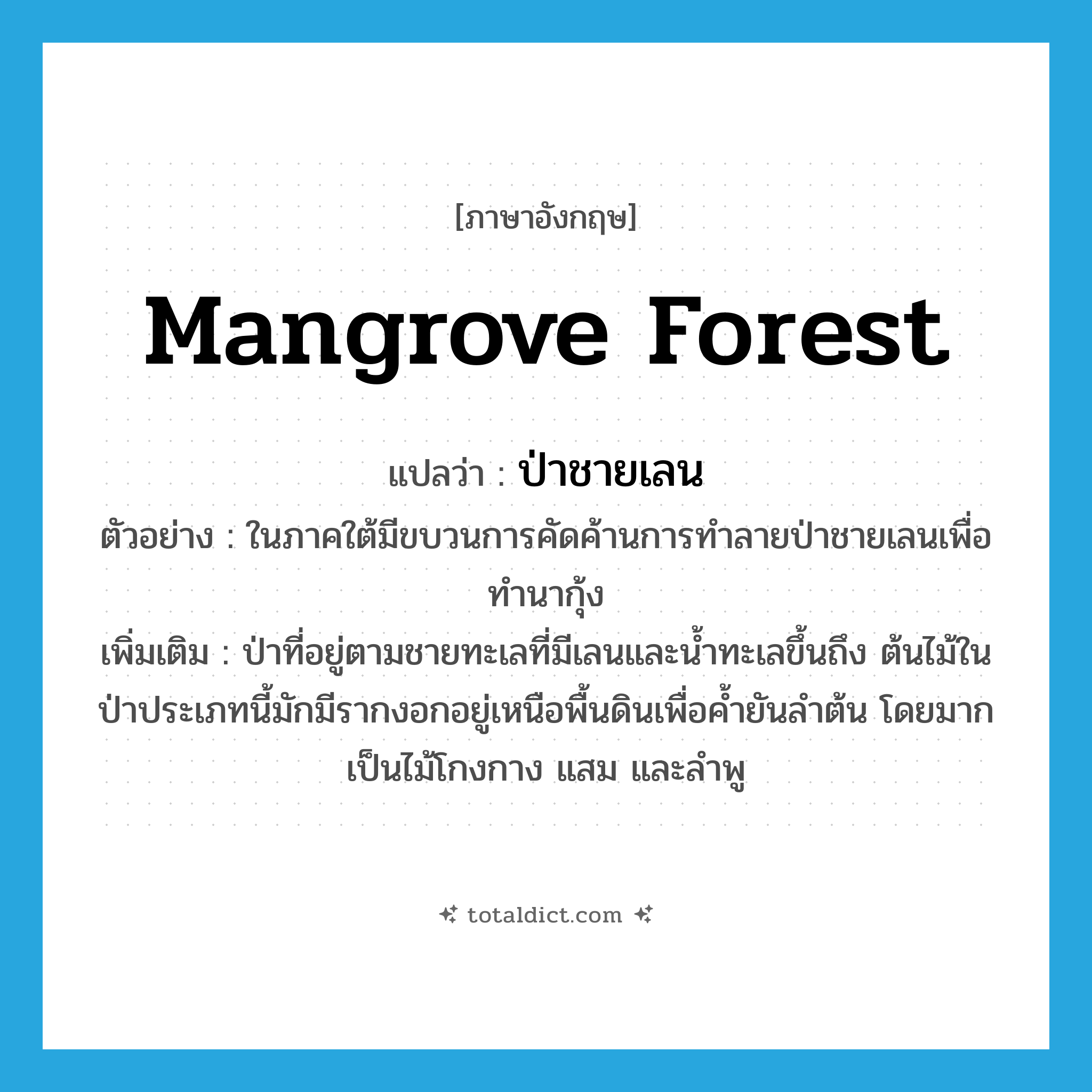 mangrove forest แปลว่า?, คำศัพท์ภาษาอังกฤษ mangrove forest แปลว่า ป่าชายเลน ประเภท N ตัวอย่าง ในภาคใต้มีขบวนการคัดค้านการทำลายป่าชายเลนเพื่อทำนากุ้ง เพิ่มเติม ป่าที่อยู่ตามชายทะเลที่มีเลนและน้ำทะเลขึ้นถึง ต้นไม้ในป่าประเภทนี้มักมีรากงอกอยู่เหนือพื้นดินเพื่อค้ำยันลำต้น โดยมากเป็นไม้โกงกาง แสม และลำพู หมวด N