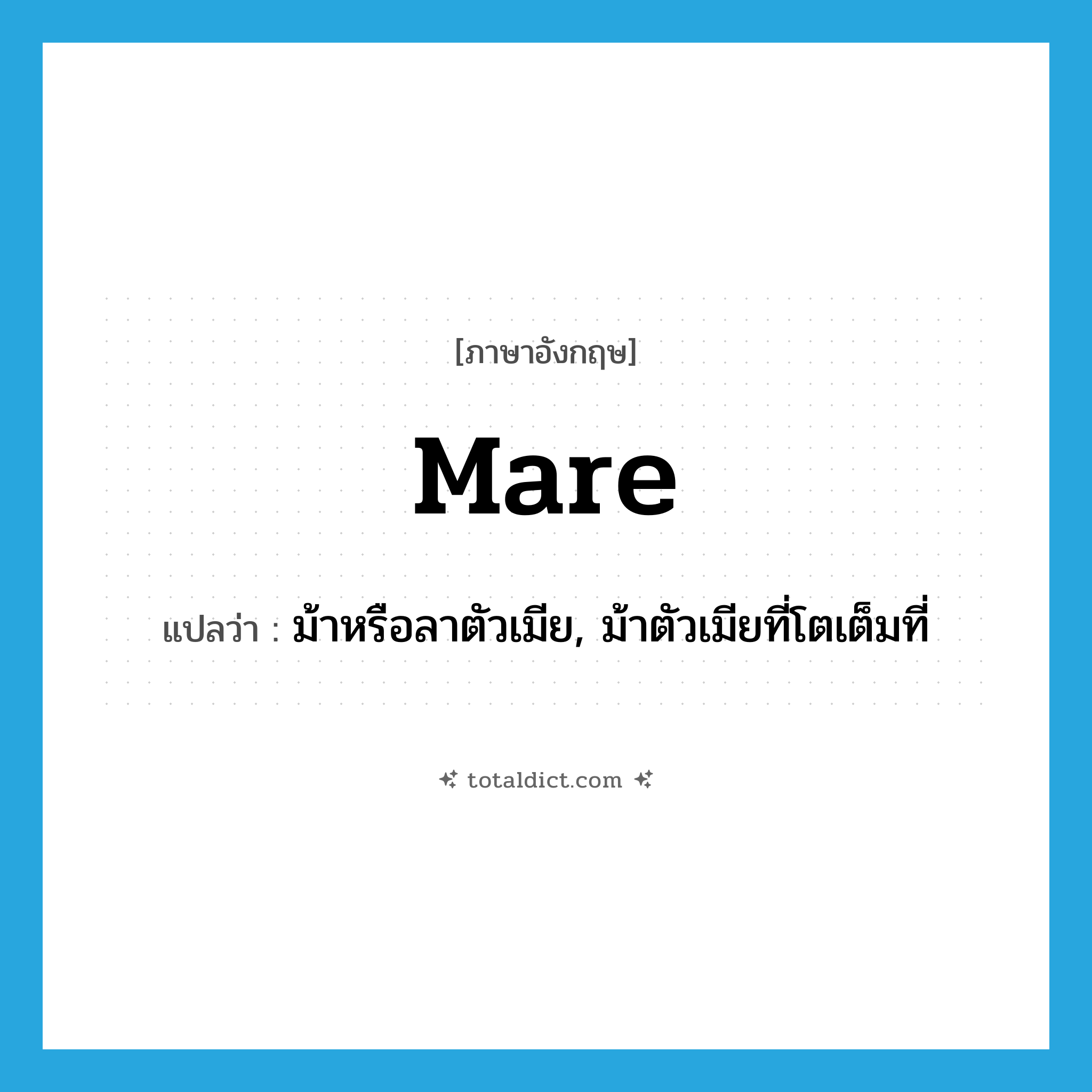mare แปลว่า?, คำศัพท์ภาษาอังกฤษ mare แปลว่า ม้าหรือลาตัวเมีย, ม้าตัวเมียที่โตเต็มที่ ประเภท N หมวด N