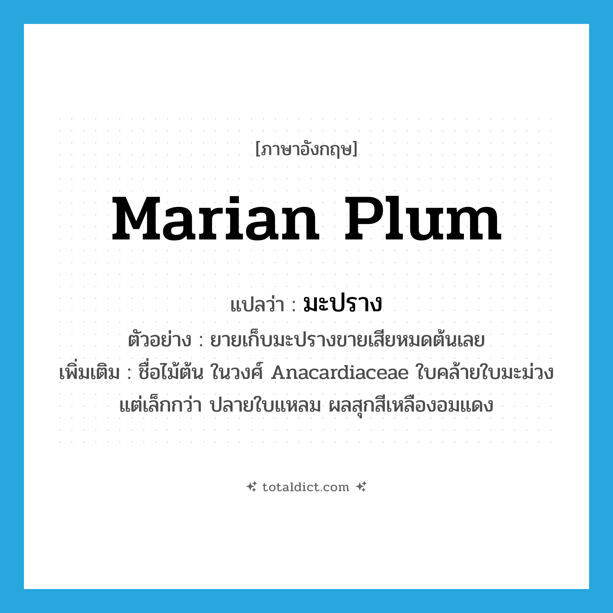 marian plum แปลว่า?, คำศัพท์ภาษาอังกฤษ Marian plum แปลว่า มะปราง ประเภท N ตัวอย่าง ยายเก็บมะปรางขายเสียหมดต้นเลย เพิ่มเติม ชื่อไม้ต้น ในวงศ์ Anacardiaceae ใบคล้ายใบมะม่วงแต่เล็กกว่า ปลายใบแหลม ผลสุกสีเหลืองอมแดง หมวด N