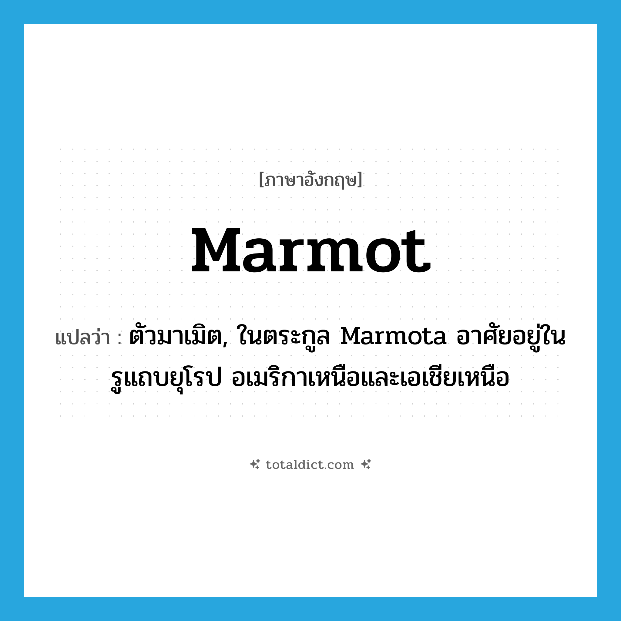 marmot แปลว่า?, คำศัพท์ภาษาอังกฤษ marmot แปลว่า ตัวมาเมิต, ในตระกูล Marmota อาศัยอยู่ในรูแถบยุโรป อเมริกาเหนือและเอเชียเหนือ ประเภท N หมวด N