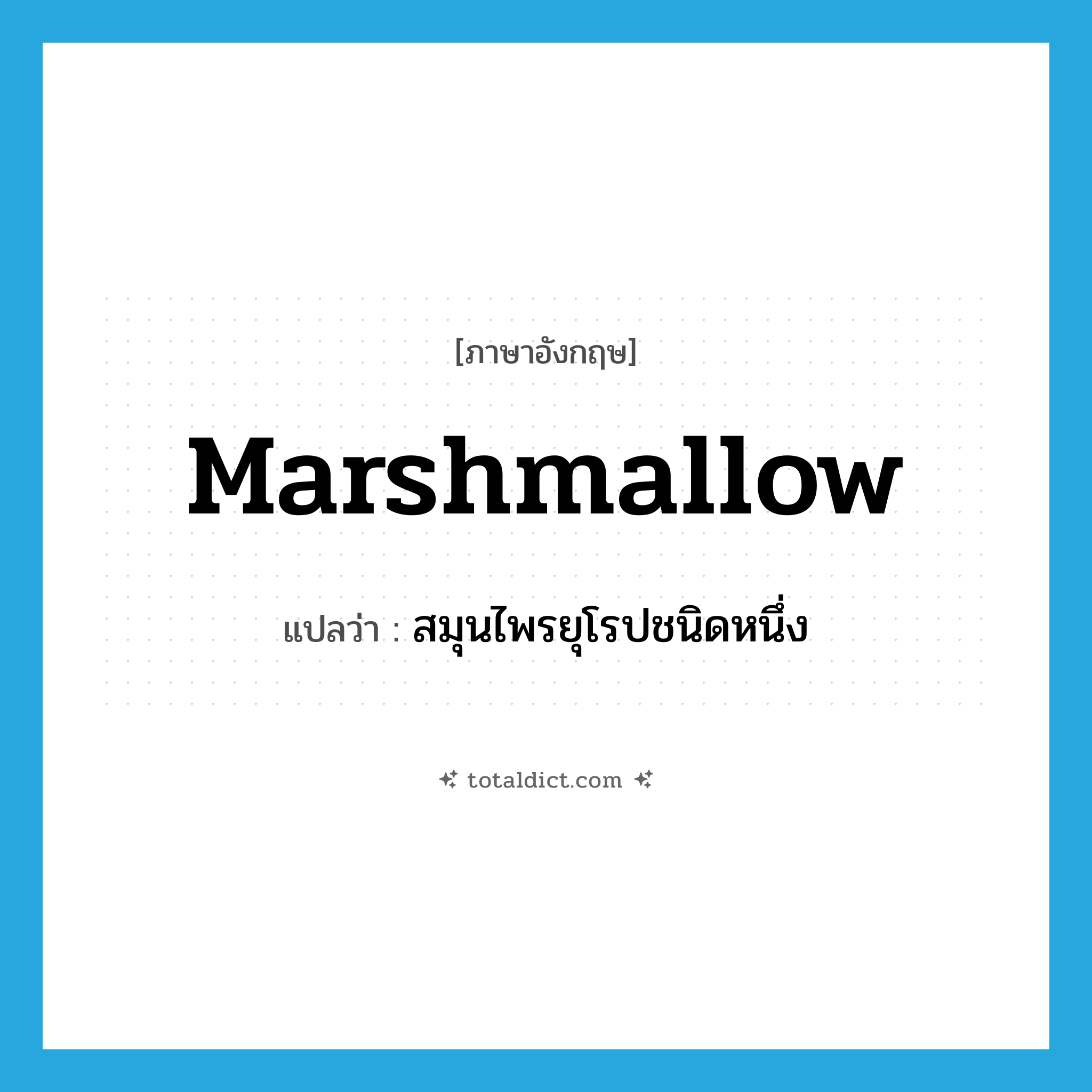 marshmallow แปลว่า?, คำศัพท์ภาษาอังกฤษ marshmallow แปลว่า สมุนไพรยุโรปชนิดหนึ่ง ประเภท N หมวด N