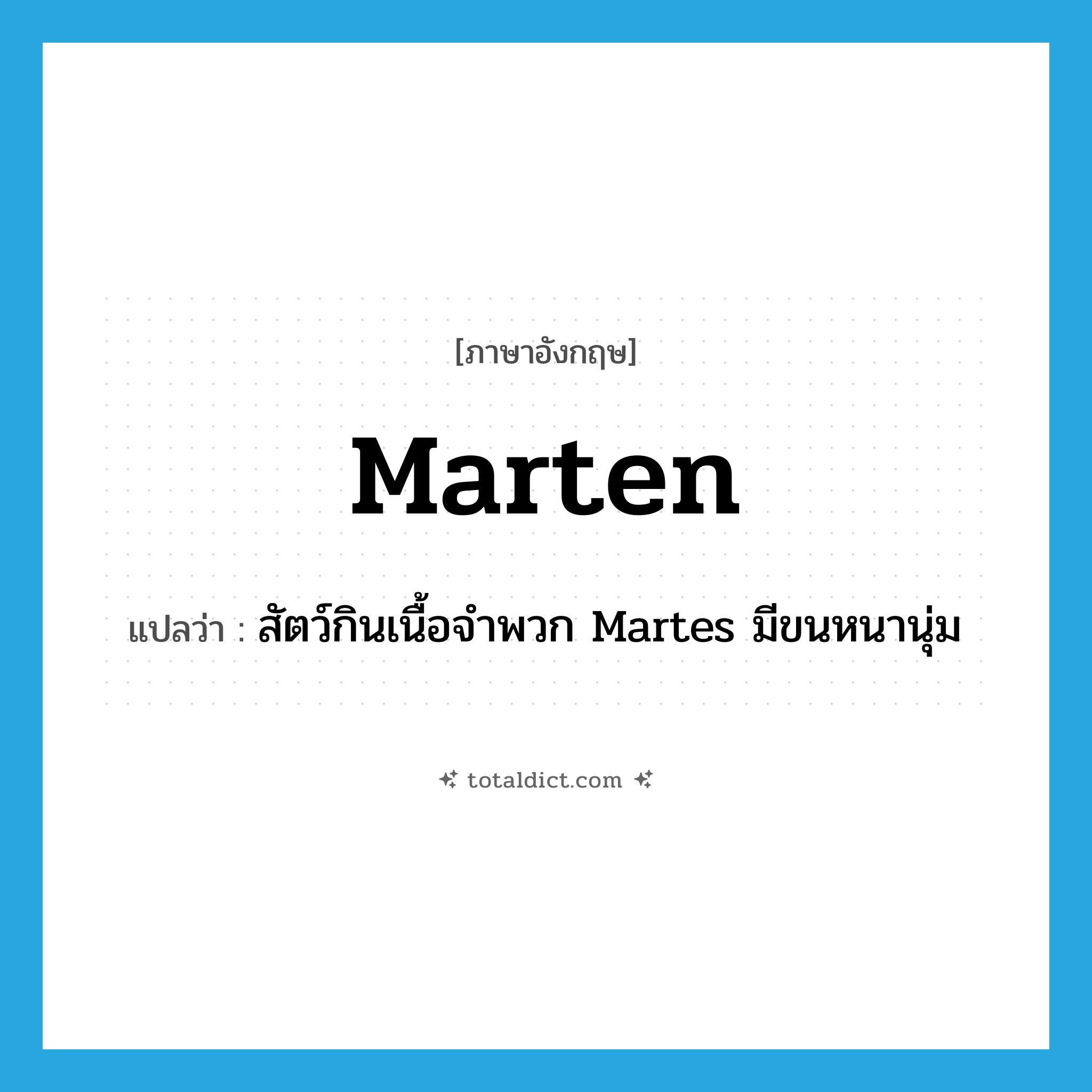 marten แปลว่า?, คำศัพท์ภาษาอังกฤษ marten แปลว่า สัตว์กินเนื้อจำพวก Martes มีขนหนานุ่ม ประเภท N หมวด N