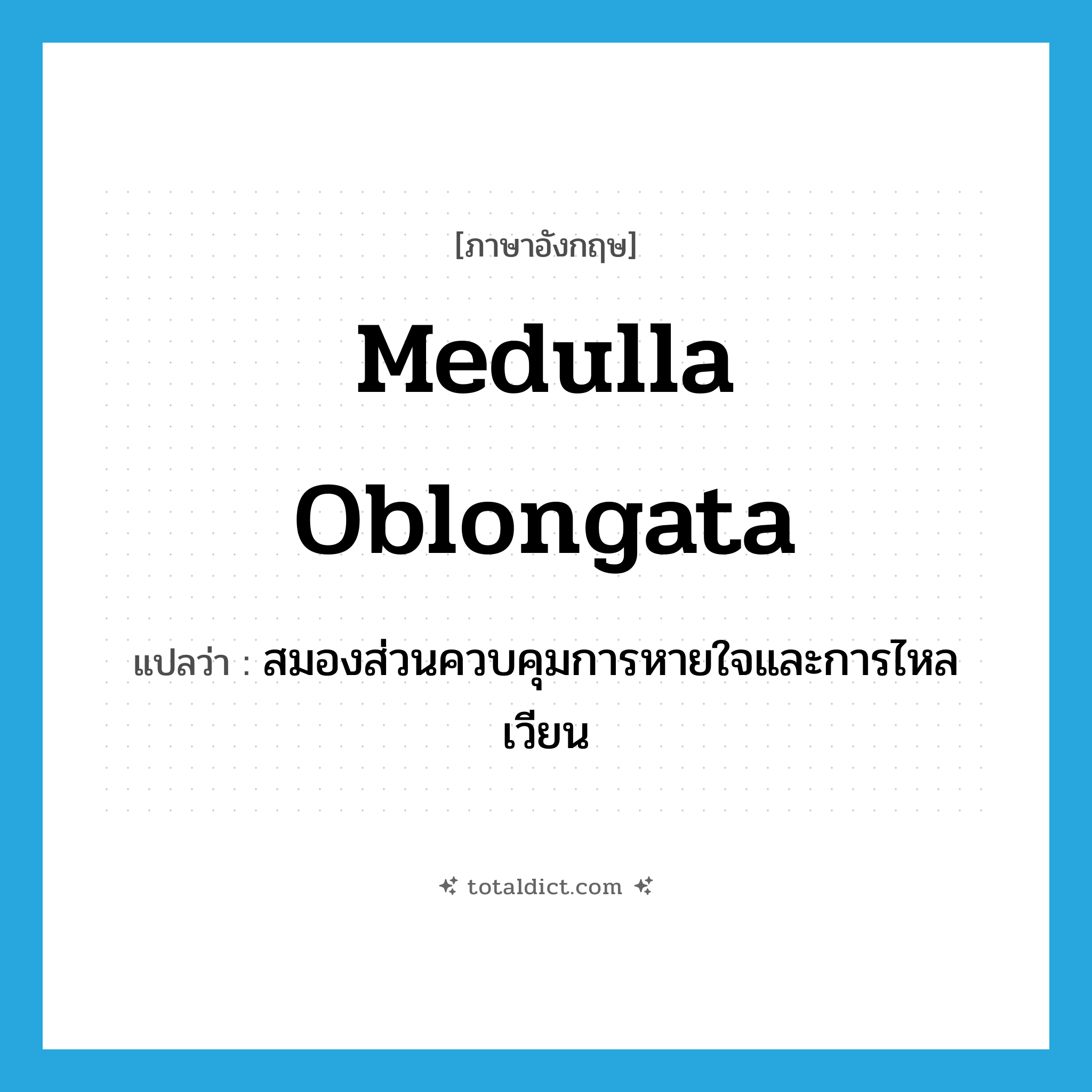 medulla oblongata แปลว่า?, คำศัพท์ภาษาอังกฤษ medulla oblongata แปลว่า สมองส่วนควบคุมการหายใจและการไหลเวียน ประเภท N หมวด N