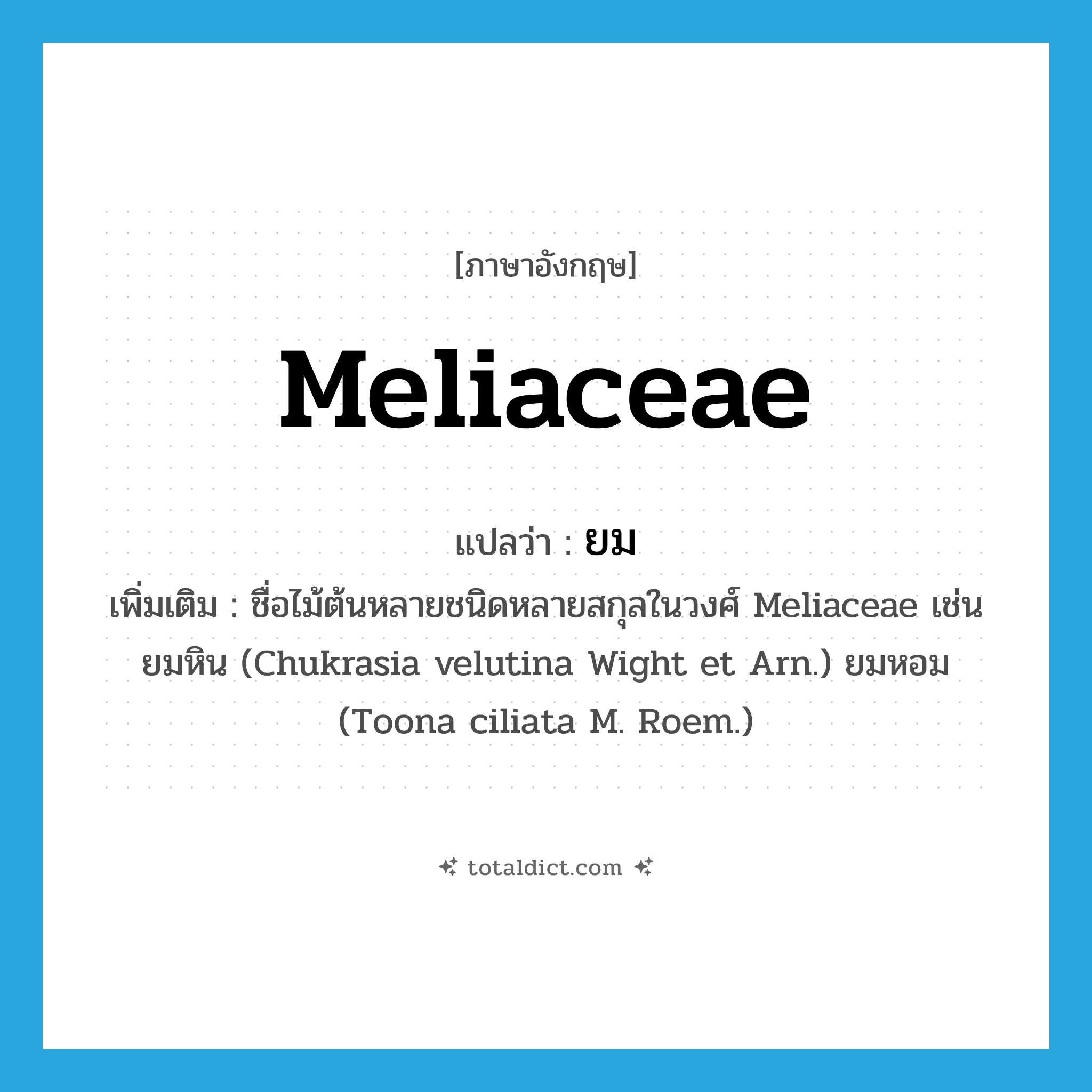 ยม ภาษาอังกฤษ?, คำศัพท์ภาษาอังกฤษ ยม แปลว่า Meliaceae ประเภท N เพิ่มเติม ชื่อไม้ต้นหลายชนิดหลายสกุลในวงศ์ Meliaceae เช่น ยมหิน (Chukrasia velutina Wight et Arn.) ยมหอม (Toona ciliata M. Roem.) หมวด N