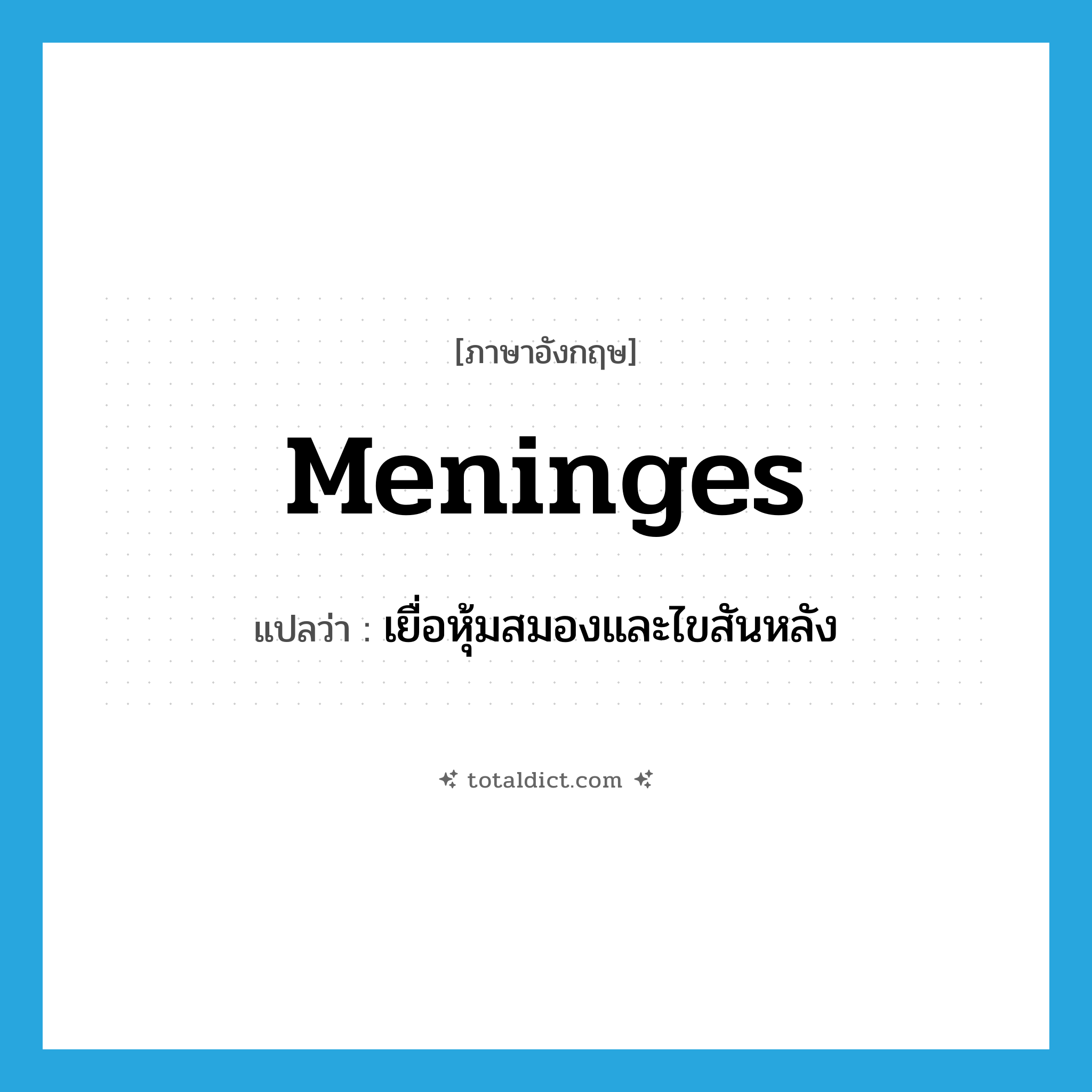 meninges แปลว่า?, คำศัพท์ภาษาอังกฤษ meninges แปลว่า เยื่อหุ้มสมองและไขสันหลัง ประเภท N หมวด N