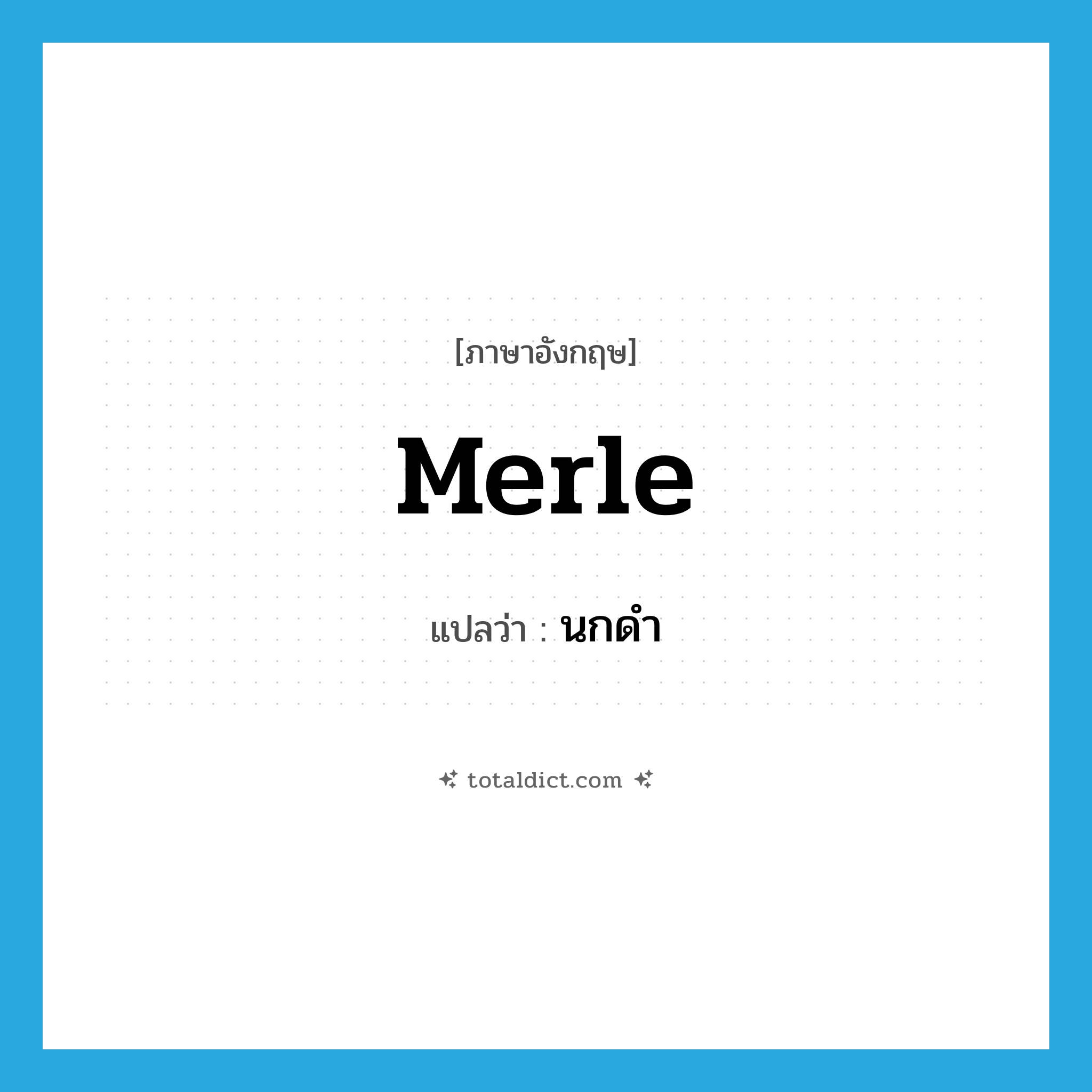 merle แปลว่า?, คำศัพท์ภาษาอังกฤษ merle แปลว่า นกดำ ประเภท N หมวด N