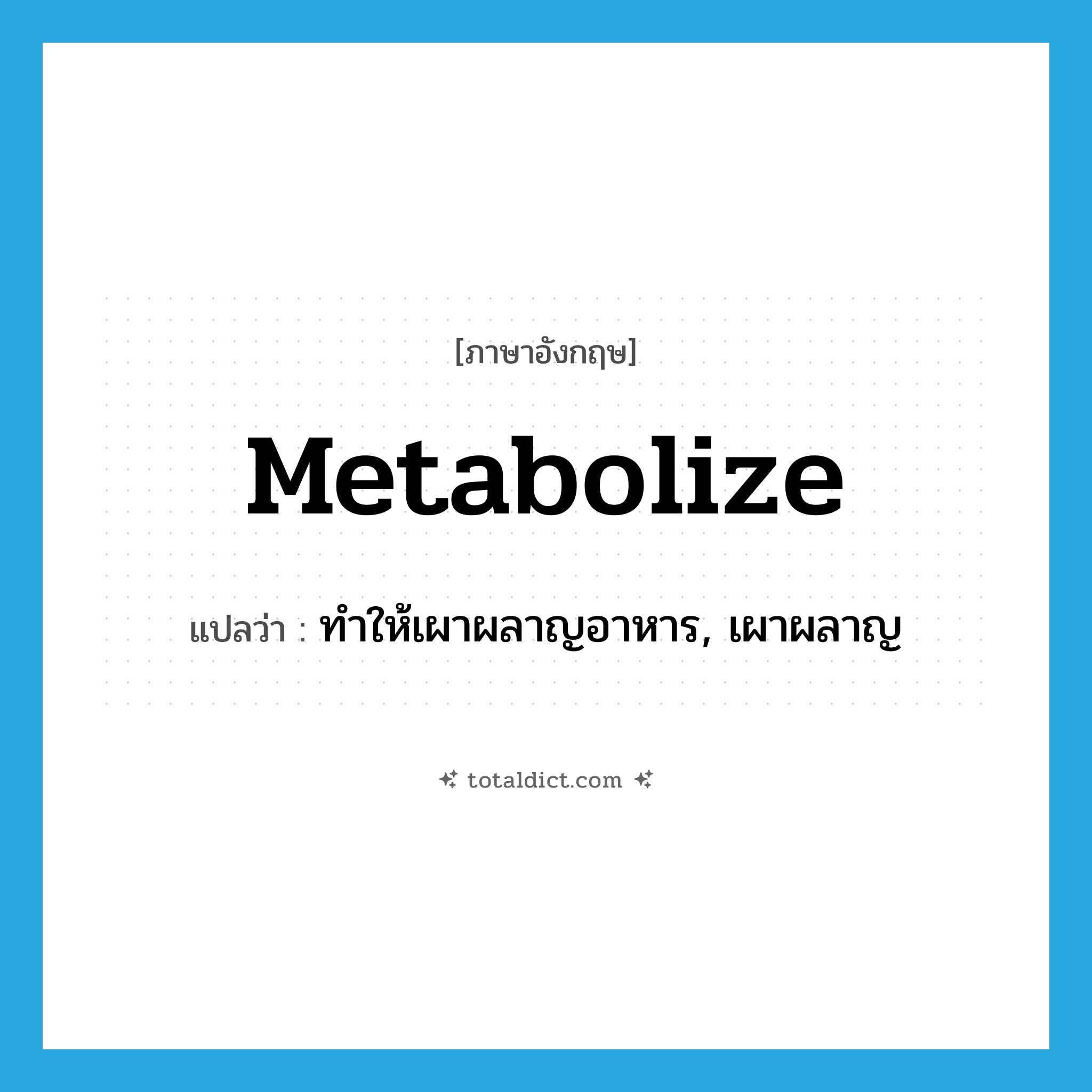 metabolize แปลว่า?, คำศัพท์ภาษาอังกฤษ metabolize แปลว่า ทำให้เผาผลาญอาหาร, เผาผลาญ ประเภท VT หมวด VT