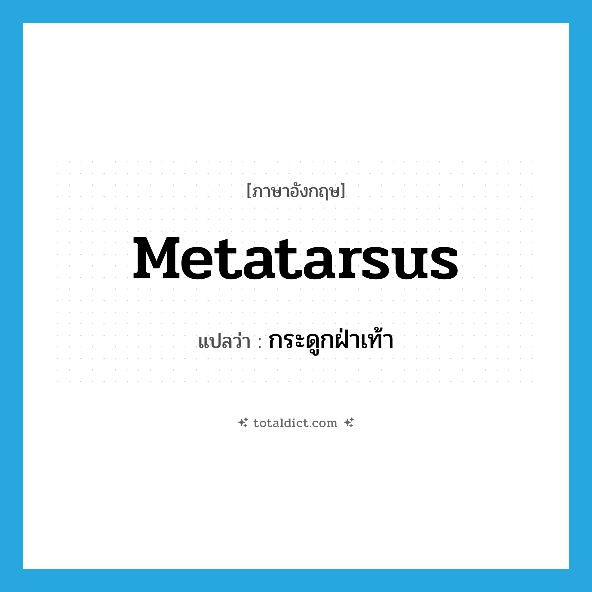 metatarsus แปลว่า?, คำศัพท์ภาษาอังกฤษ metatarsus แปลว่า กระดูกฝ่าเท้า ประเภท N หมวด N