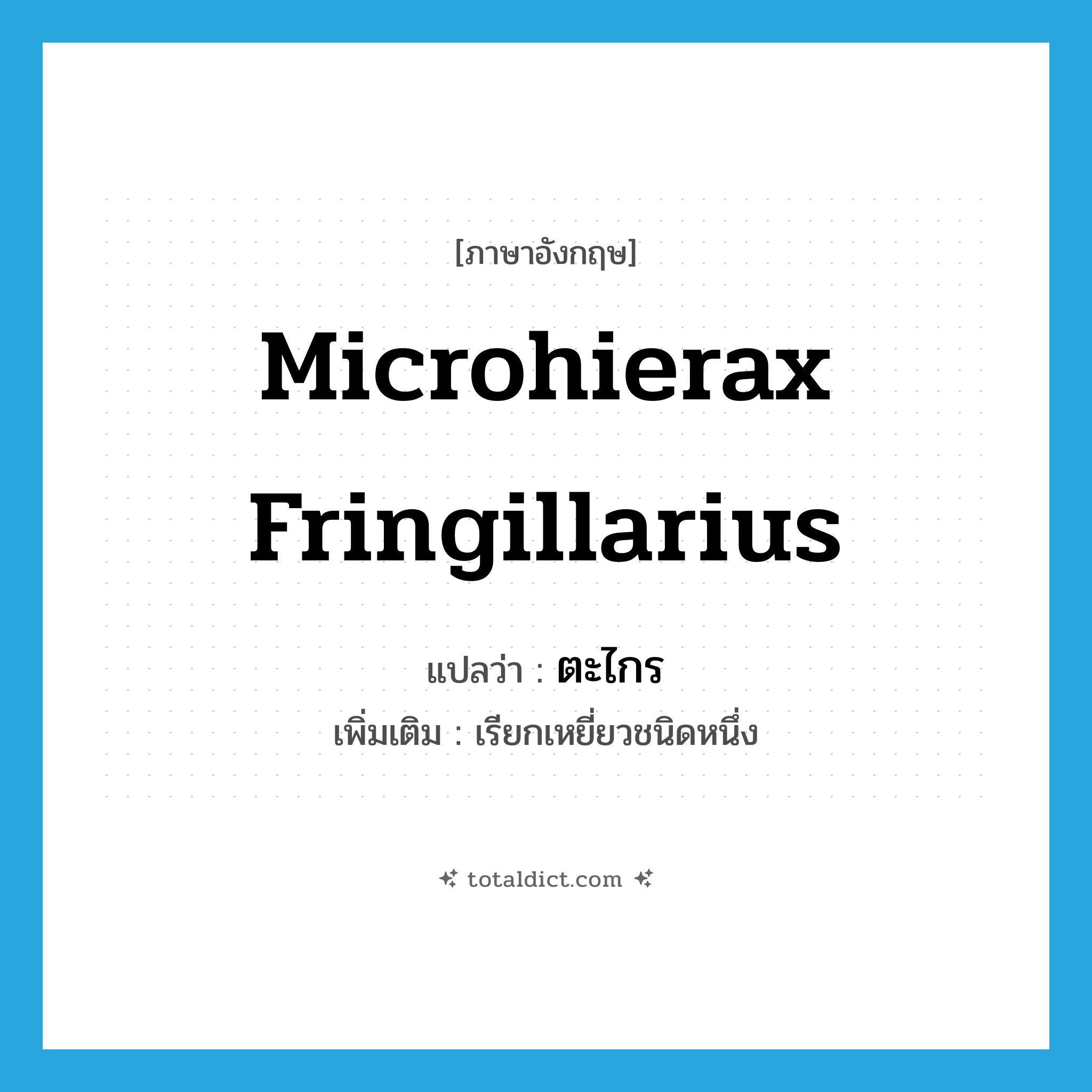 Microhierax fringillarius แปลว่า?, คำศัพท์ภาษาอังกฤษ Microhierax fringillarius แปลว่า ตะไกร ประเภท N เพิ่มเติม เรียกเหยี่ยวชนิดหนึ่ง หมวด N