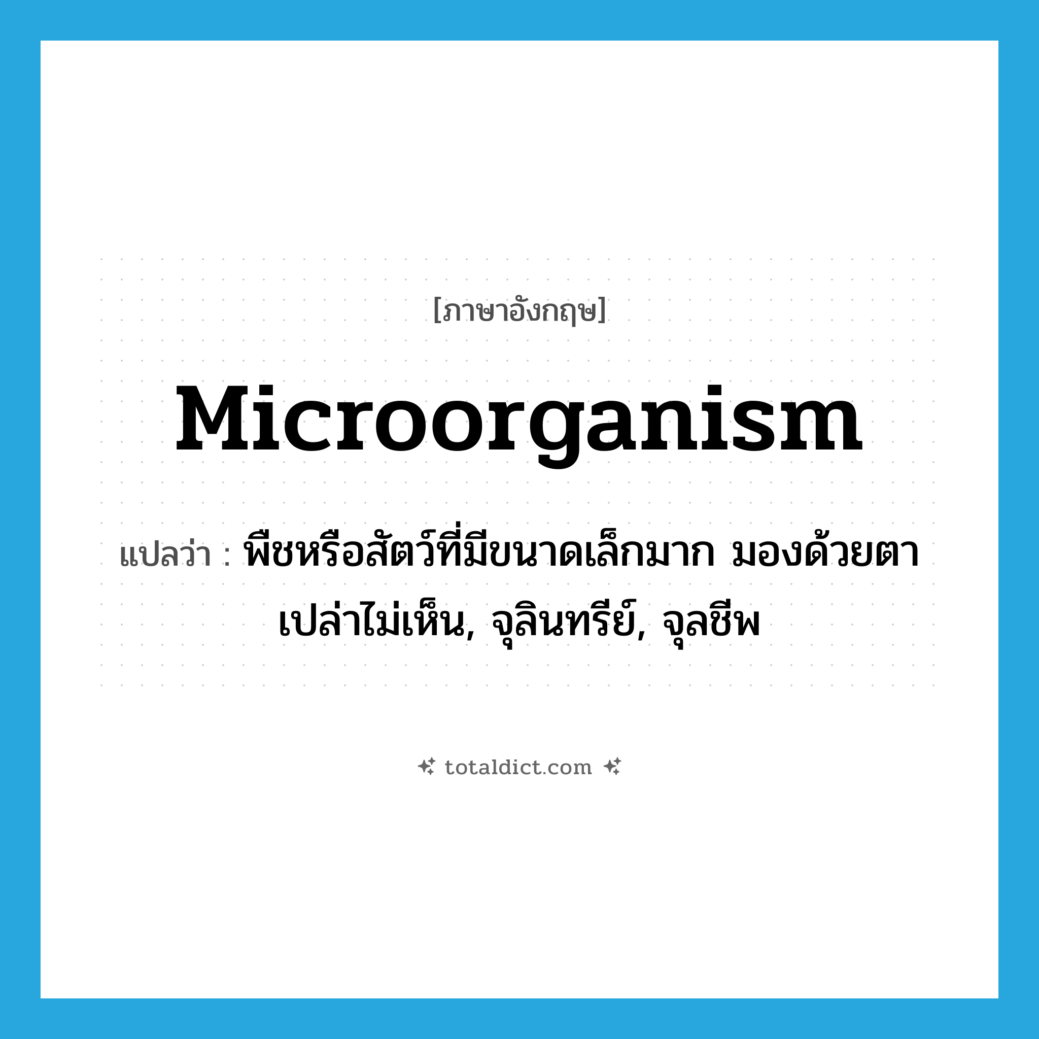 microorganism แปลว่า?, คำศัพท์ภาษาอังกฤษ microorganism แปลว่า พืชหรือสัตว์ที่มีขนาดเล็กมาก มองด้วยตาเปล่าไม่เห็น, จุลินทรีย์, จุลชีพ ประเภท N หมวด N