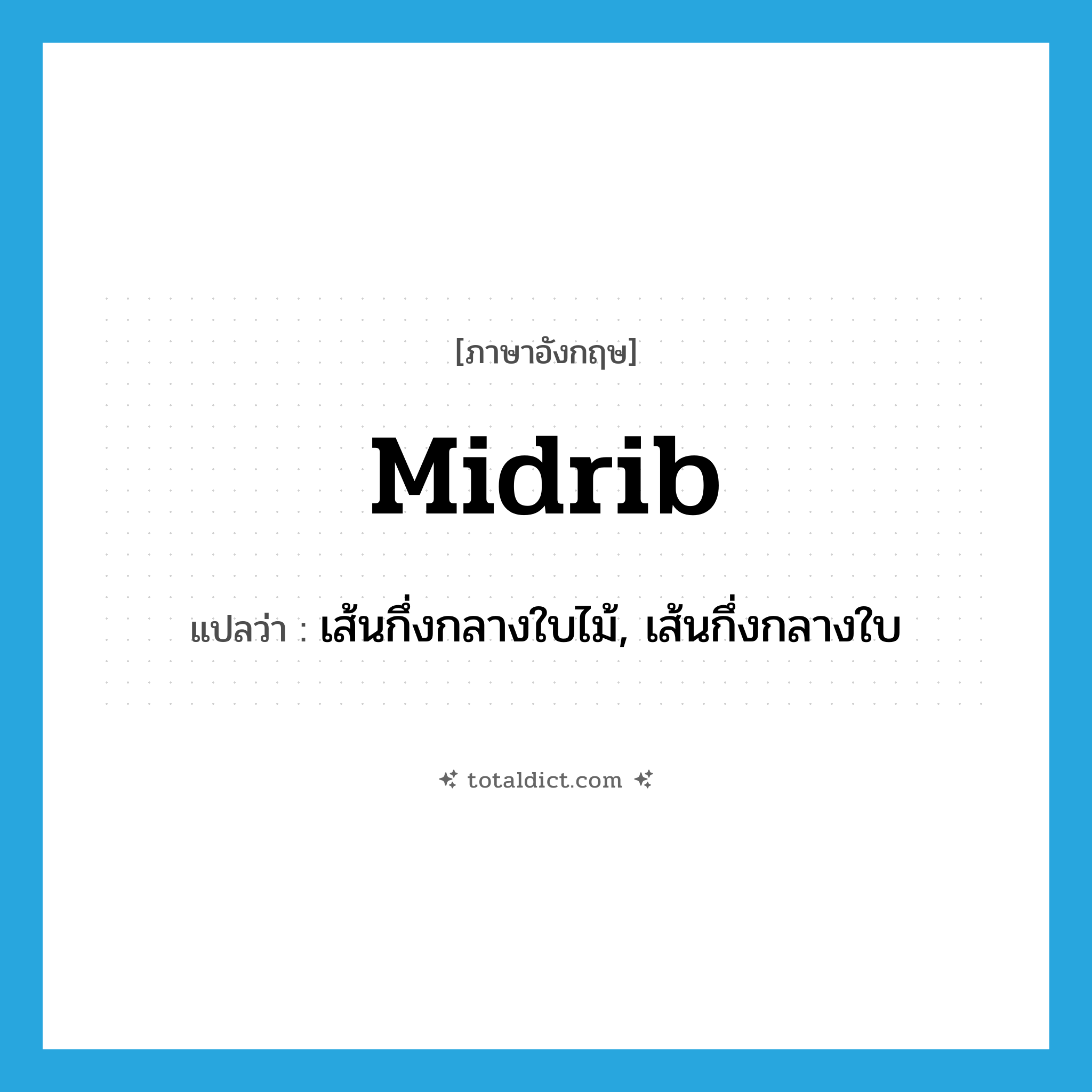 midrib แปลว่า?, คำศัพท์ภาษาอังกฤษ midrib แปลว่า เส้นกึ่งกลางใบไม้, เส้นกึ่งกลางใบ ประเภท N หมวด N
