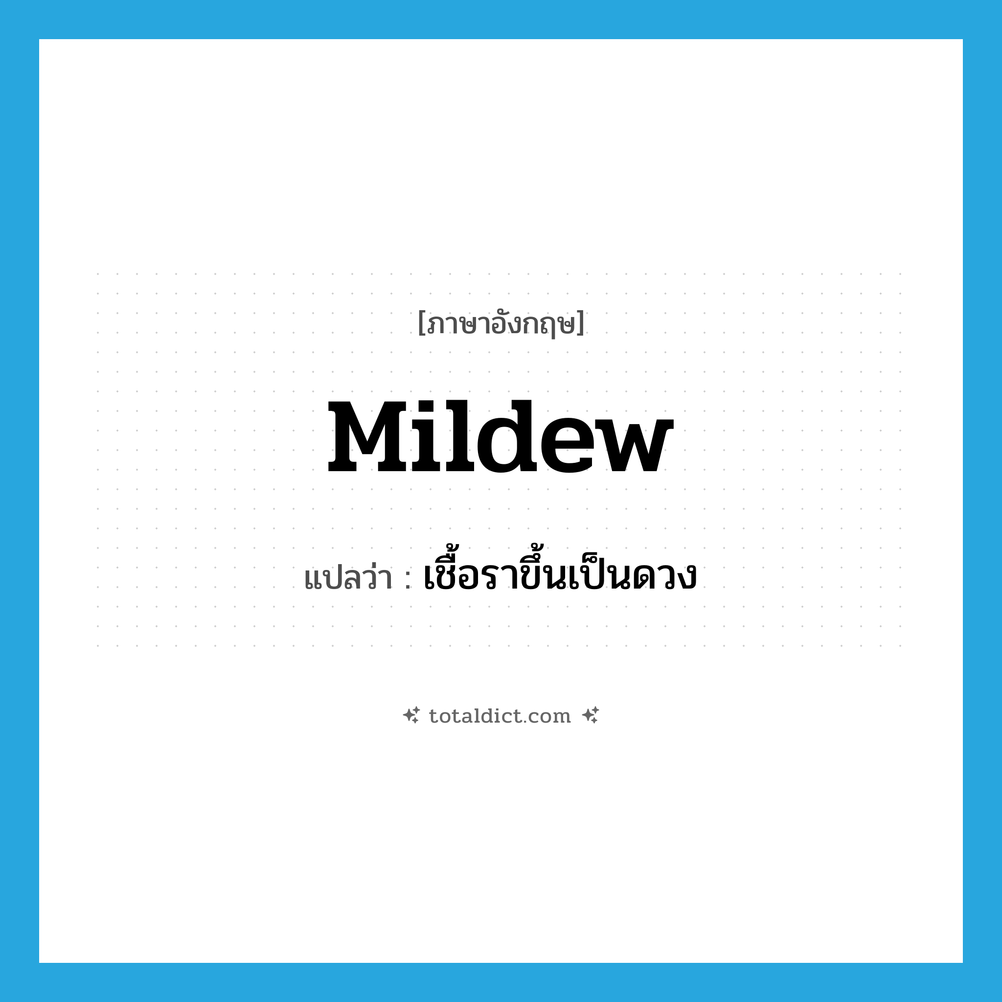mildew แปลว่า?, คำศัพท์ภาษาอังกฤษ mildew แปลว่า เชื้อราขึ้นเป็นดวง ประเภท VI หมวด VI