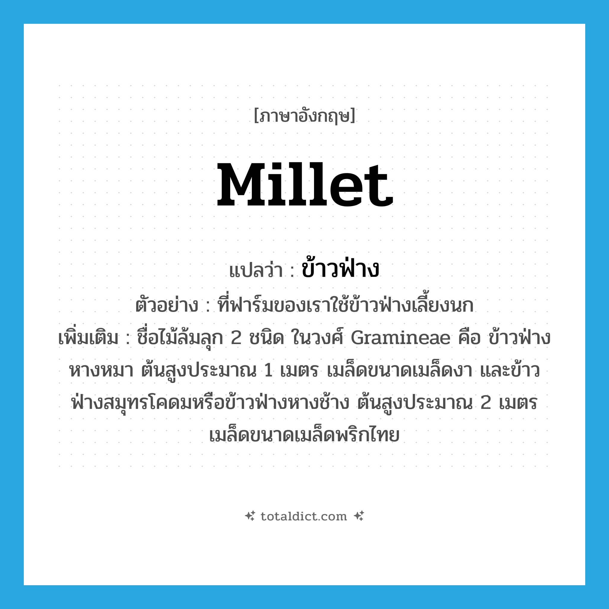 millet แปลว่า?, คำศัพท์ภาษาอังกฤษ millet แปลว่า ข้าวฟ่าง ประเภท N ตัวอย่าง ที่ฟาร์มของเราใช้ข้าวฟ่างเลี้ยงนก เพิ่มเติม ชื่อไม้ล้มลุก 2 ชนิด ในวงศ์ Gramineae คือ ข้าวฟ่างหางหมา ต้นสูงประมาณ 1 เมตร เมล็ดขนาดเมล็ดงา และข้าวฟ่างสมุทรโคดมหรือข้าวฟ่างหางช้าง ต้นสูงประมาณ 2 เมตร เมล็ดขนาดเมล็ดพริกไทย หมวด N