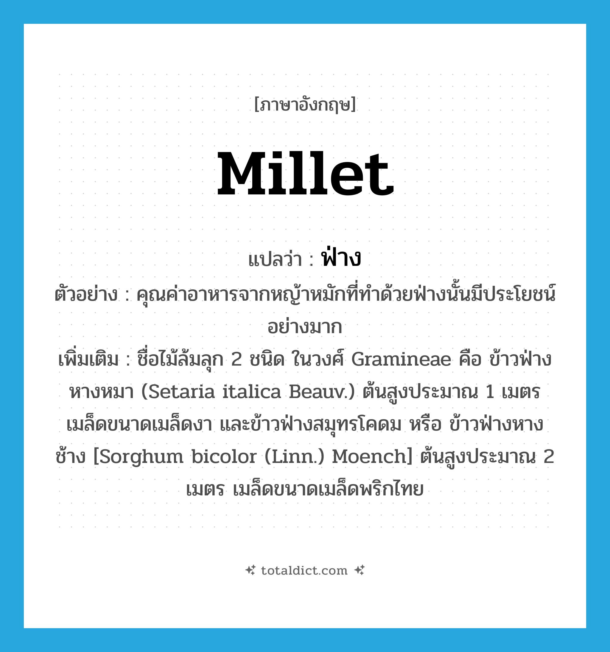 millet แปลว่า?, คำศัพท์ภาษาอังกฤษ millet แปลว่า ฟ่าง ประเภท N ตัวอย่าง คุณค่าอาหารจากหญ้าหมักที่ทำด้วยฟ่างนั้นมีประโยชน์อย่างมาก เพิ่มเติม ชื่อไม้ล้มลุก 2 ชนิด ในวงศ์ Gramineae คือ ข้าวฟ่างหางหมา (Setaria italica Beauv.) ต้นสูงประมาณ 1 เมตร เมล็ดขนาดเมล็ดงา และข้าวฟ่างสมุทรโคดม หรือ ข้าวฟ่างหางช้าง [Sorghum bicolor (Linn.) Moench] ต้นสูงประมาณ 2 เมตร เมล็ดขนาดเมล็ดพริกไทย หมวด N