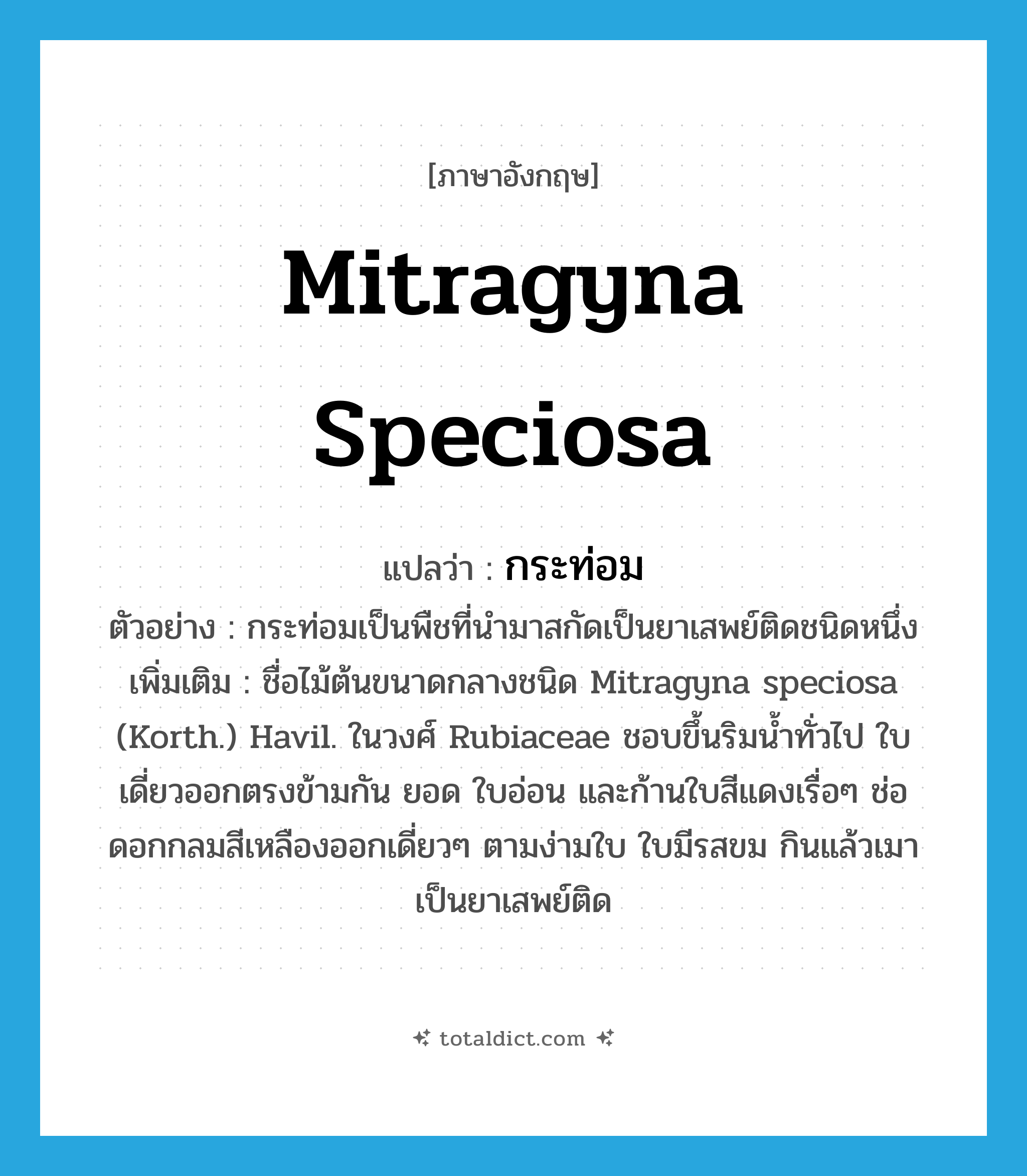 Mitragyna speciosa แปลว่า?, คำศัพท์ภาษาอังกฤษ Mitragyna speciosa แปลว่า กระท่อม ประเภท N ตัวอย่าง กระท่อมเป็นพืชที่นำมาสกัดเป็นยาเสพย์ติดชนิดหนึ่ง เพิ่มเติม ชื่อไม้ต้นขนาดกลางชนิด Mitragyna speciosa (Korth.) Havil. ในวงศ์ Rubiaceae ชอบขึ้นริมน้ำทั่วไป ใบเดี่ยวออกตรงข้ามกัน ยอด ใบอ่อน และก้านใบสีแดงเรื่อๆ ช่อดอกกลมสีเหลืองออกเดี่ยวๆ ตามง่ามใบ ใบมีรสขม กินแล้วเมา เป็นยาเสพย์ติด หมวด N