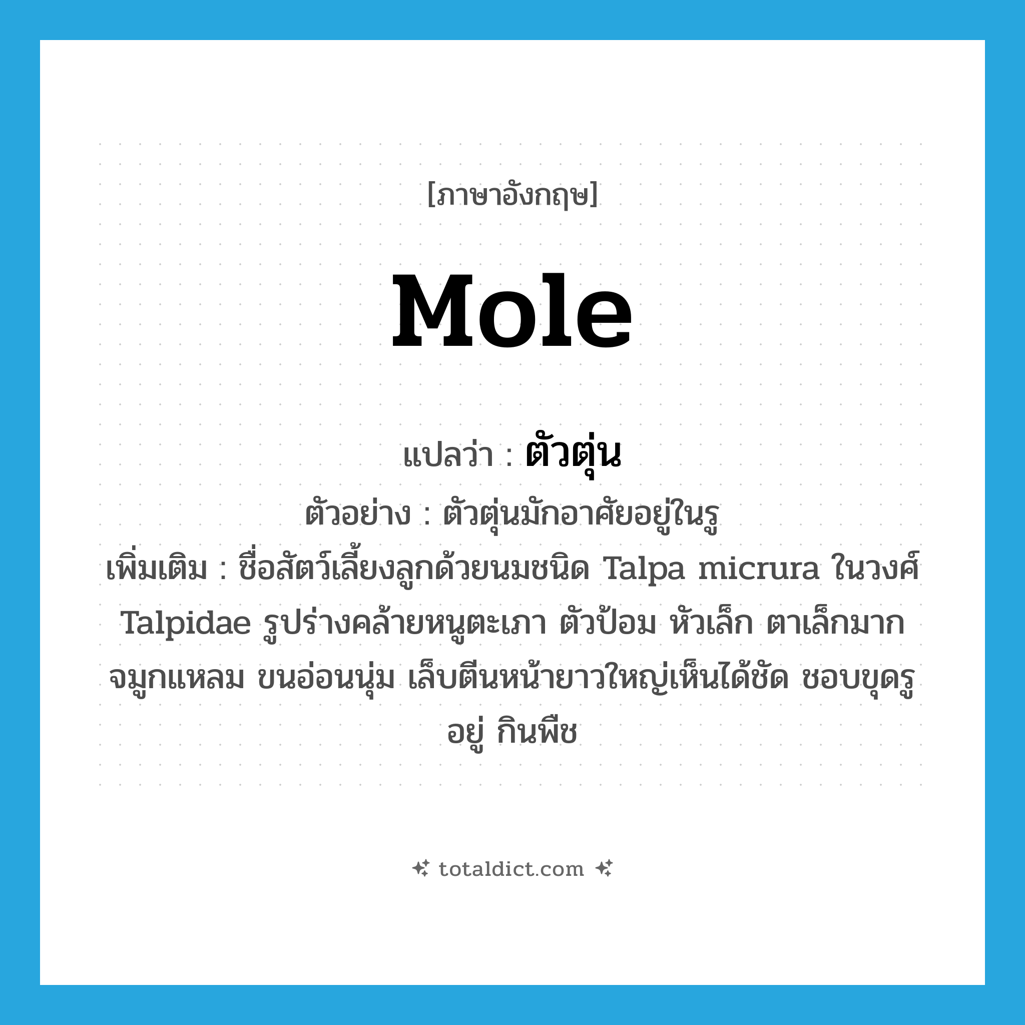 mole แปลว่า?, คำศัพท์ภาษาอังกฤษ mole แปลว่า ตัวตุ่น ประเภท N ตัวอย่าง ตัวตุ่นมักอาศัยอยู่ในรู เพิ่มเติม ชื่อสัตว์เลี้ยงลูกด้วยนมชนิด Talpa micrura ในวงศ์ Talpidae รูปร่างคล้ายหนูตะเภา ตัวป้อม หัวเล็ก ตาเล็กมาก จมูกแหลม ขนอ่อนนุ่ม เล็บตีนหน้ายาวใหญ่เห็นได้ชัด ชอบขุดรูอยู่ กินพืช หมวด N